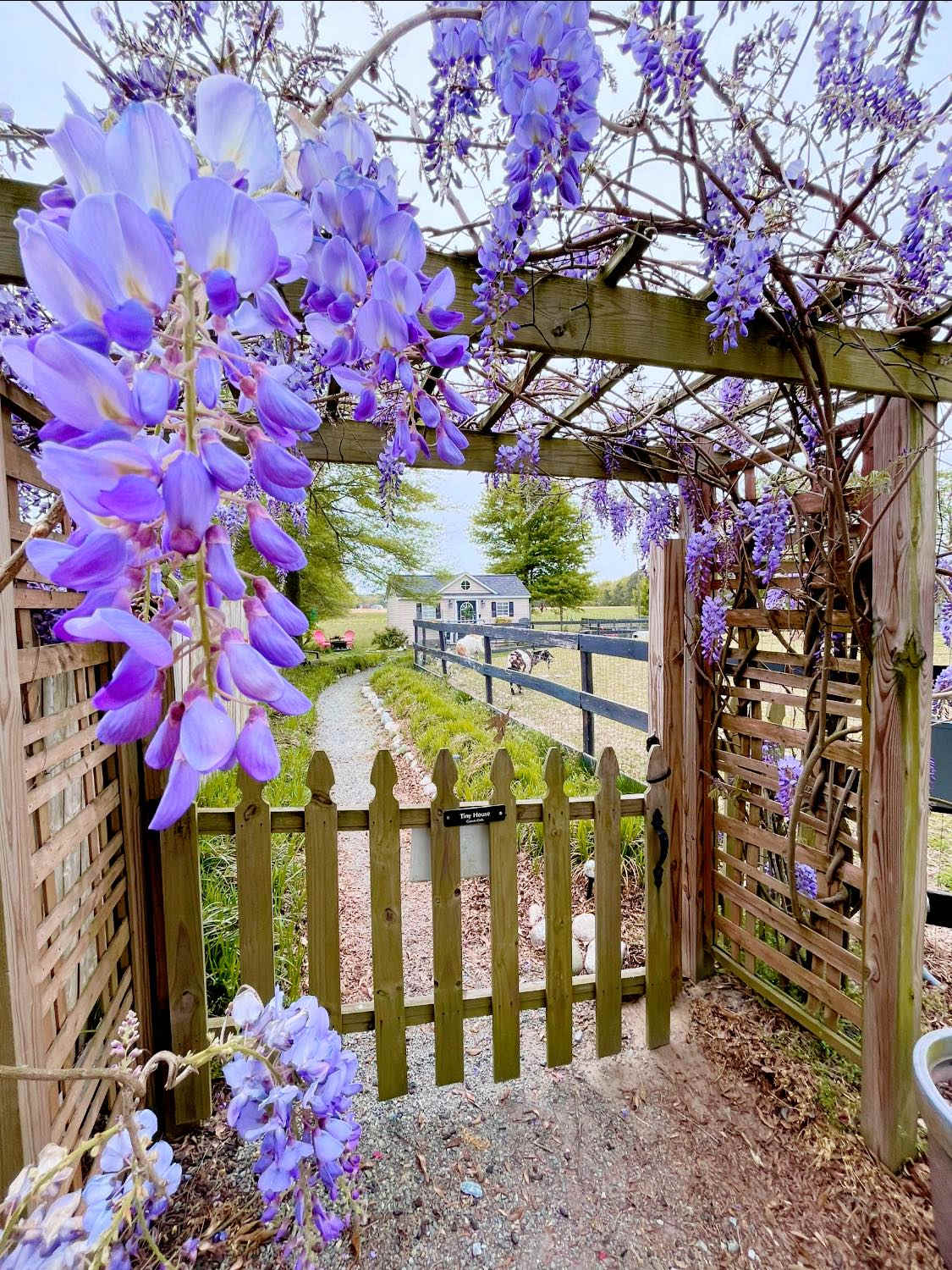 Peaceful Garden Hideaway Tiny House
