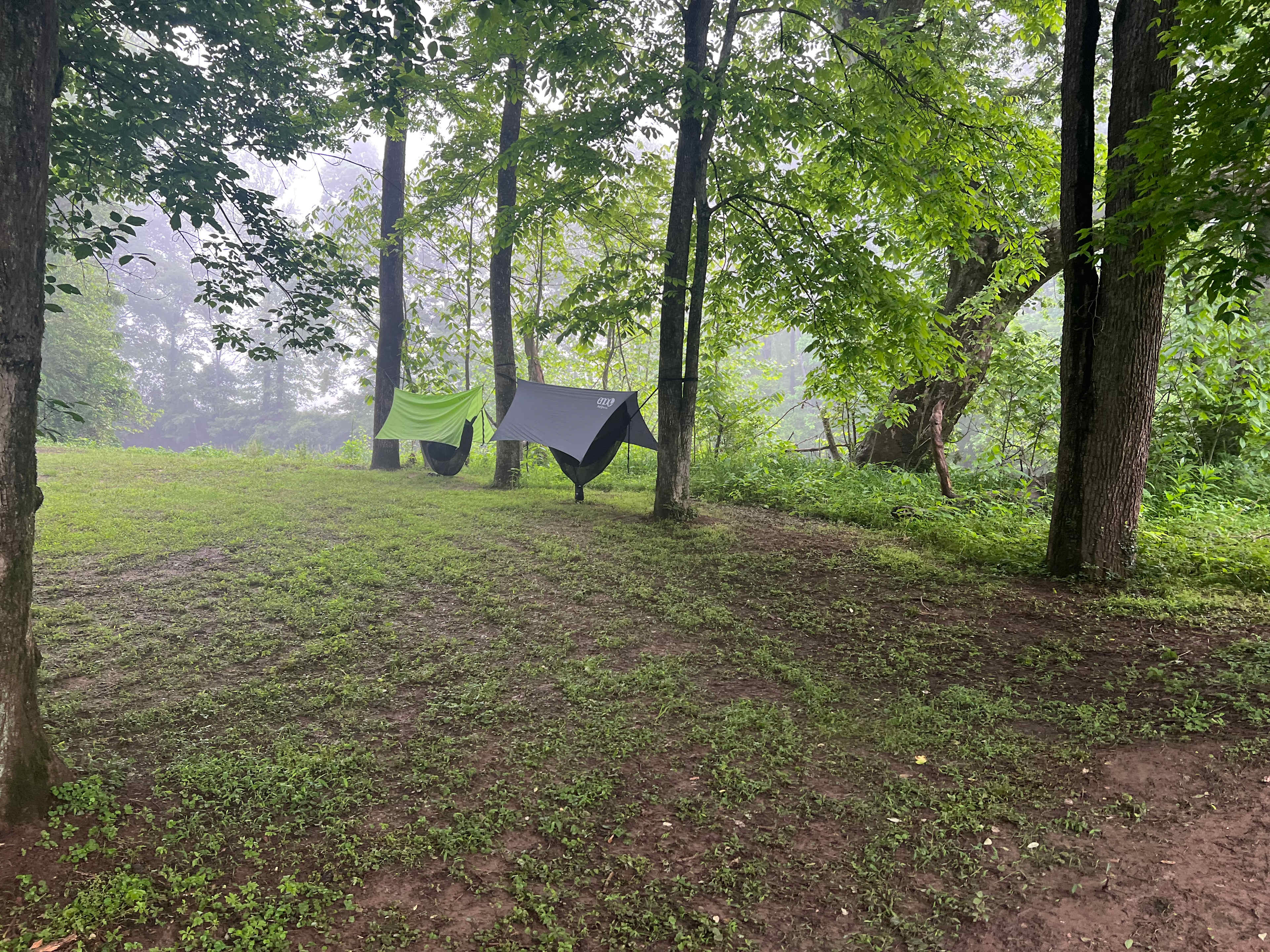 Camping on the Hazel River
