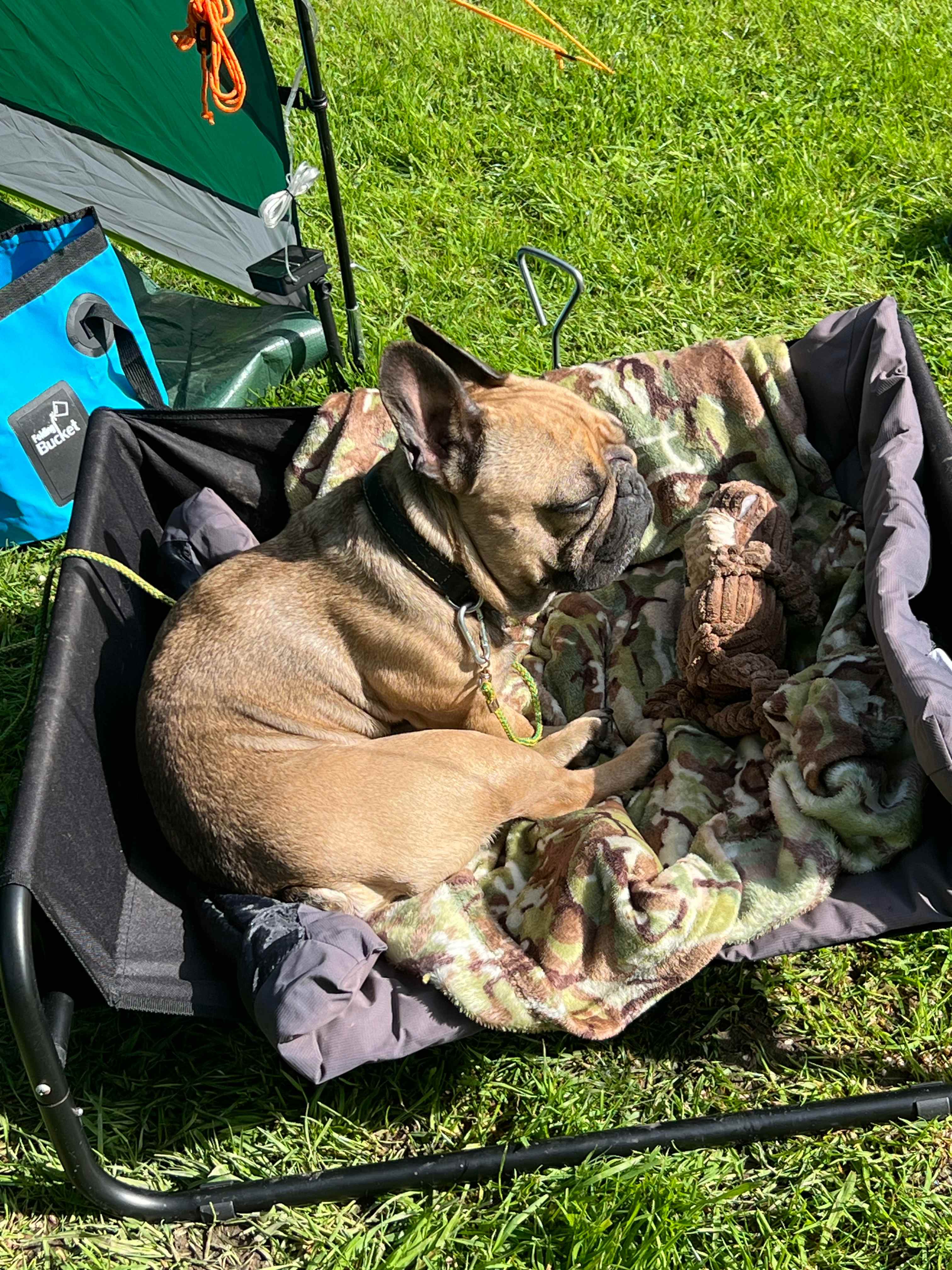 Panpwnton Campsite