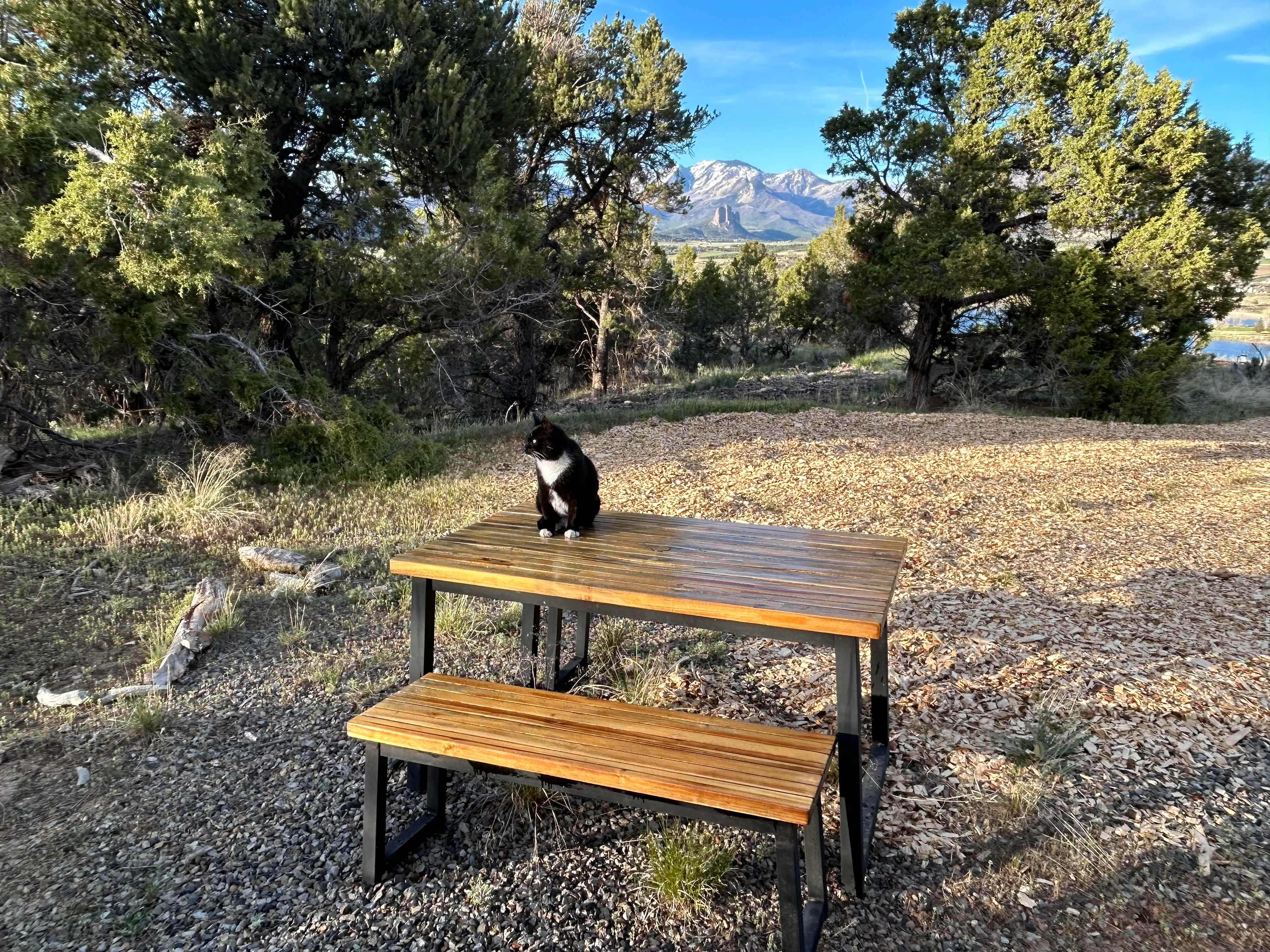 Picnic table and view to lake, mountains and Needle Rock. Tater inspecting the site... 