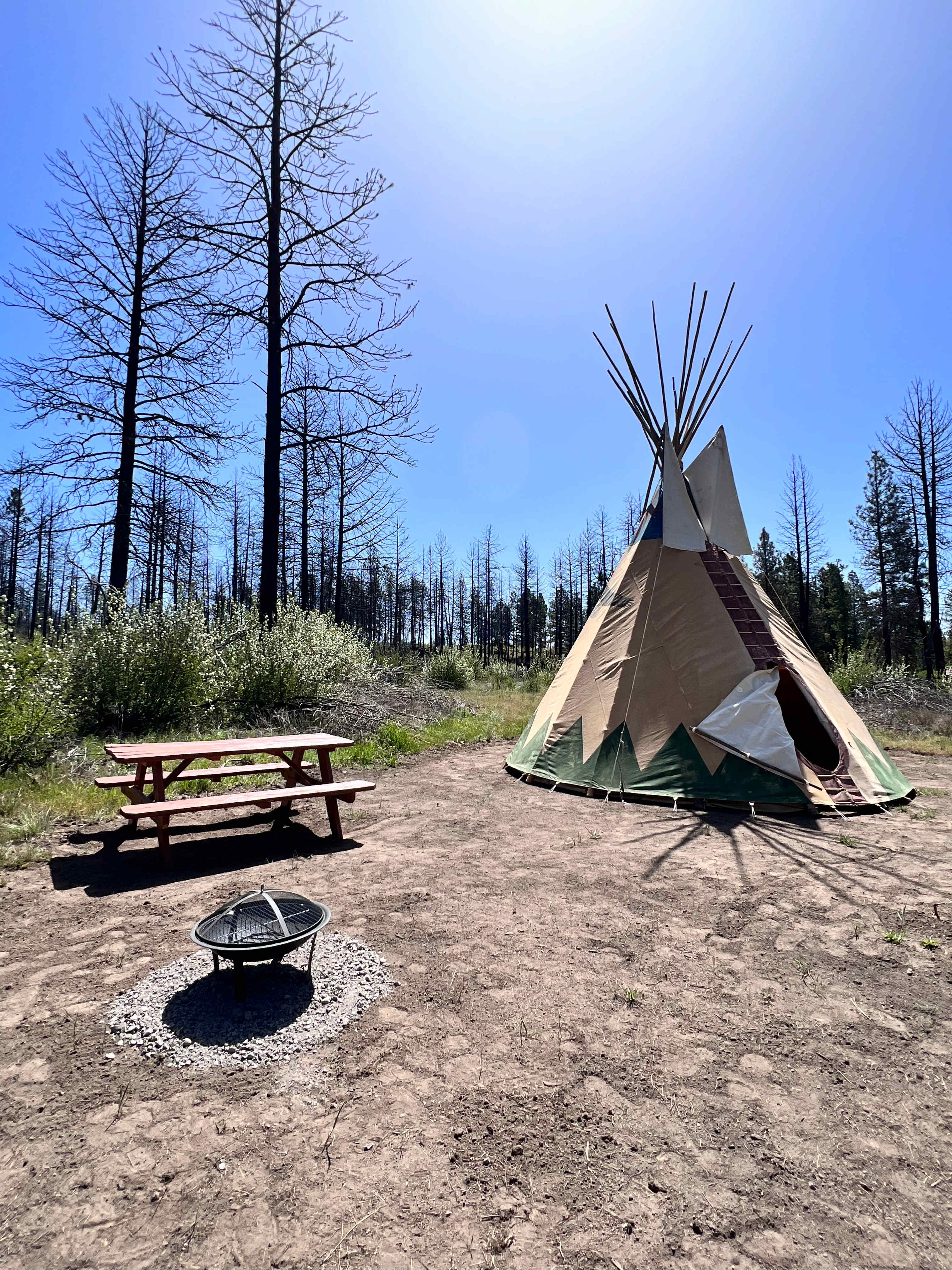 Picture of the site