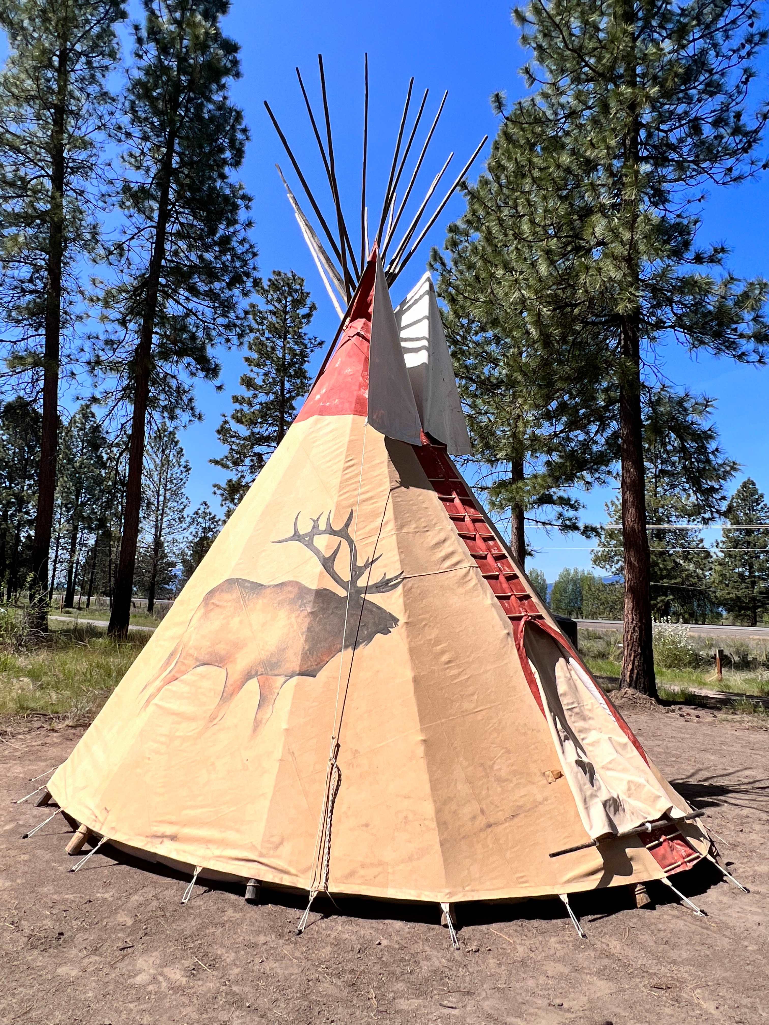 Picture of the site