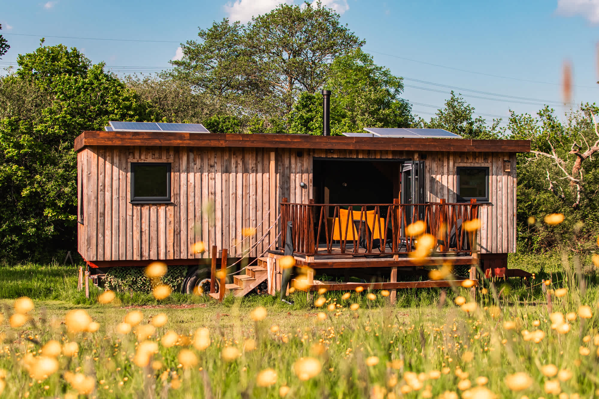 The cabin hidden within the wildflowers 🌾