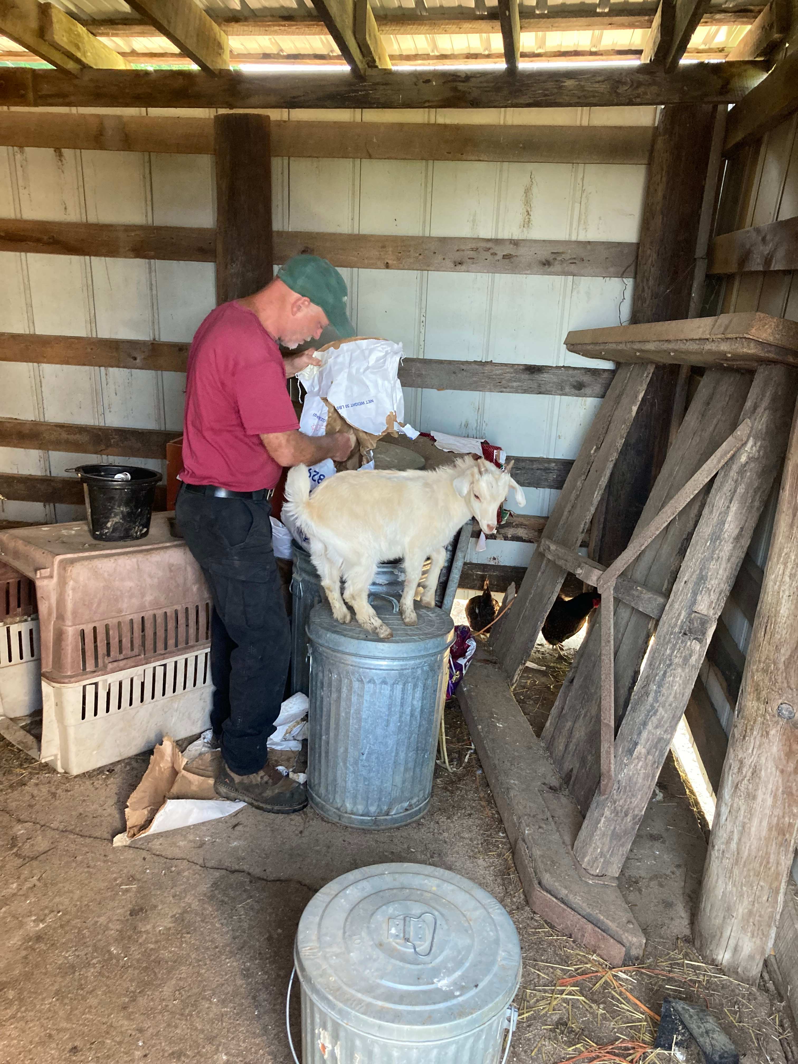 Farm tour