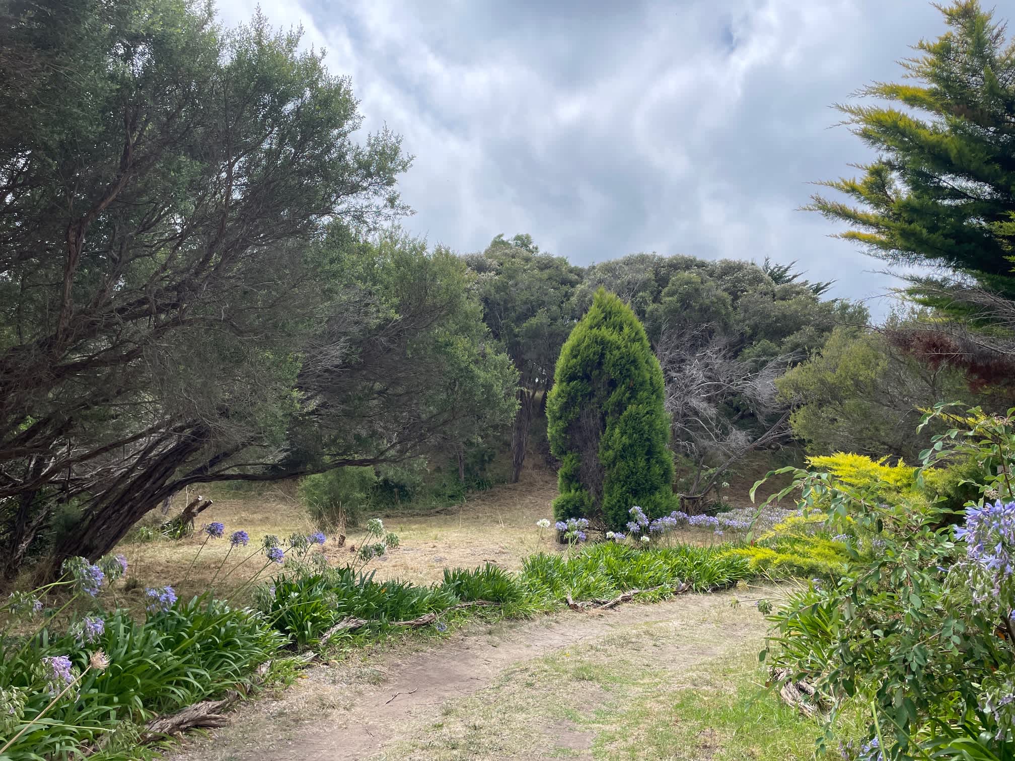 This open space on the left is the powered camping site. Use long leads to the plug to the front left side corner of when your back is to the ship con