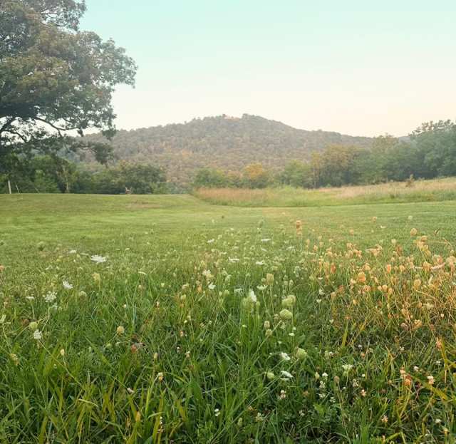 Enchanted Ozark Fairytale Camp