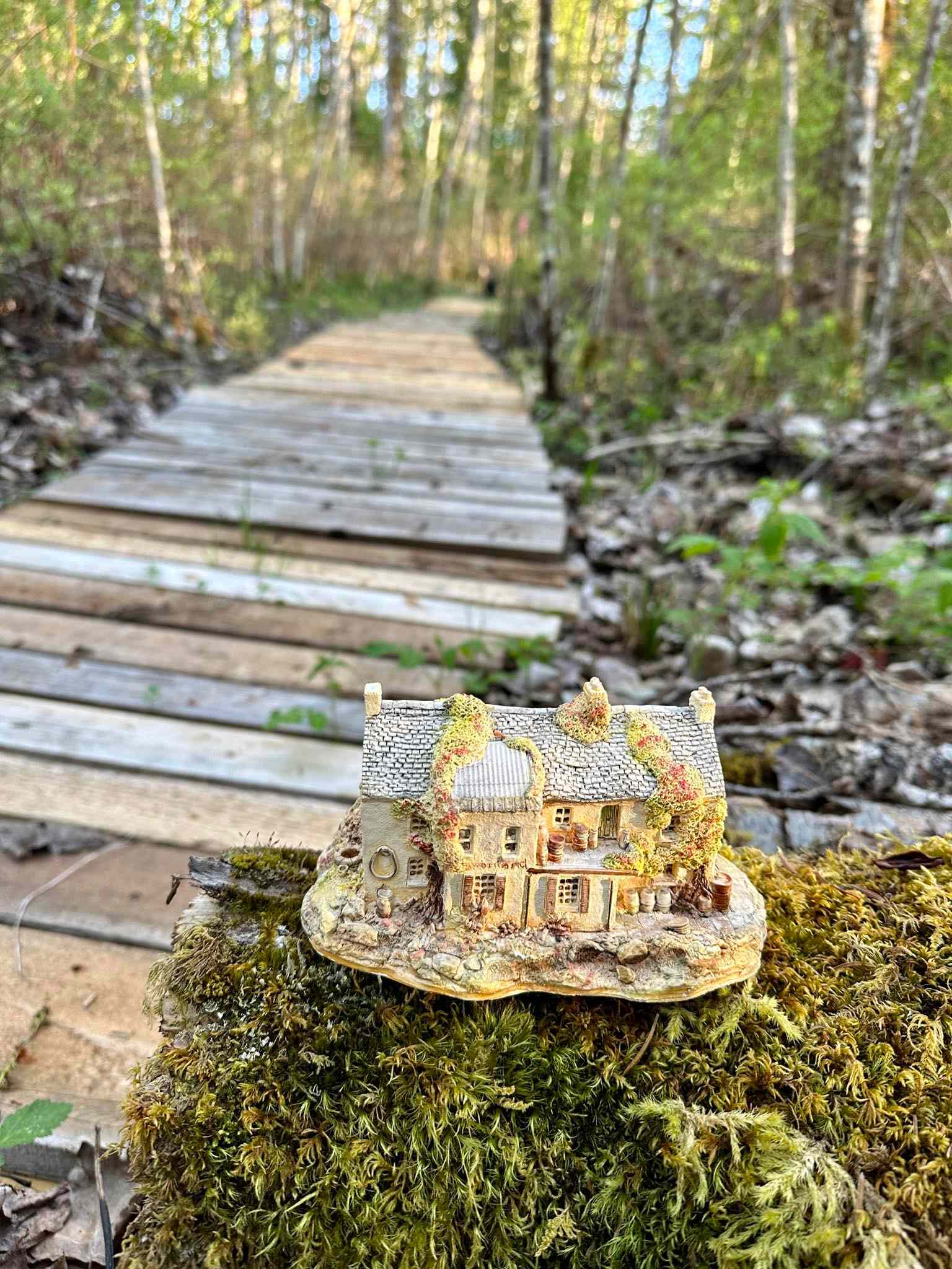one of the fairy houses on the trails