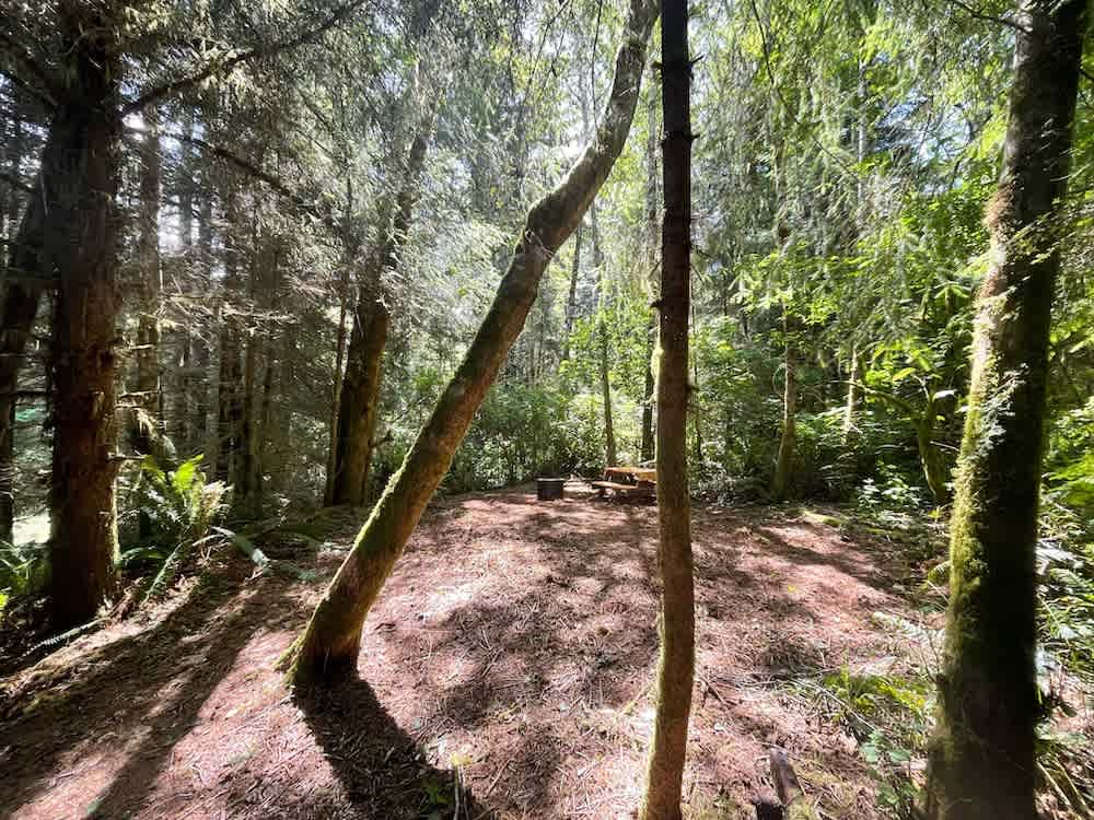 Mystic Forest Campground
