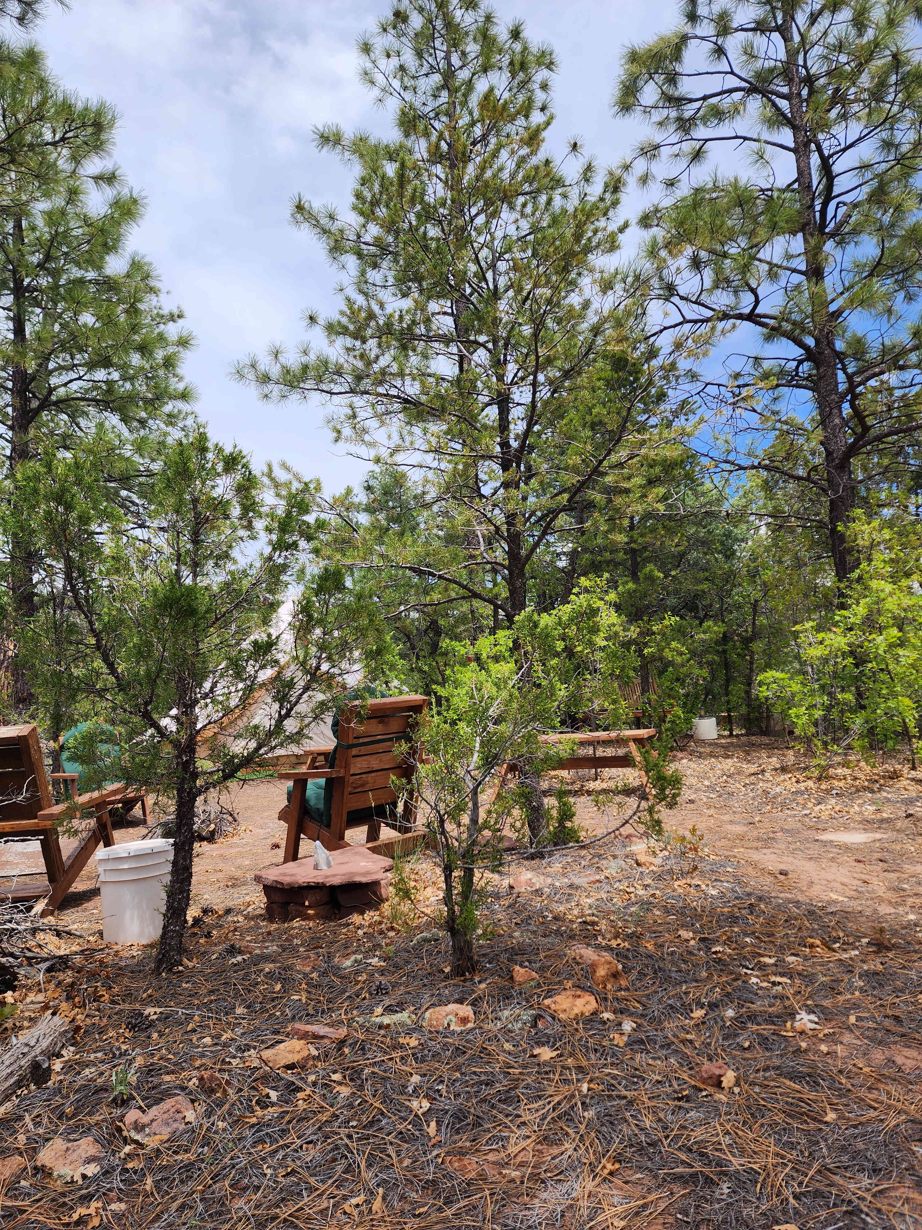 Fehu Campground & Dreamwork Retreat