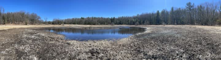 Northern Michigan Getaway