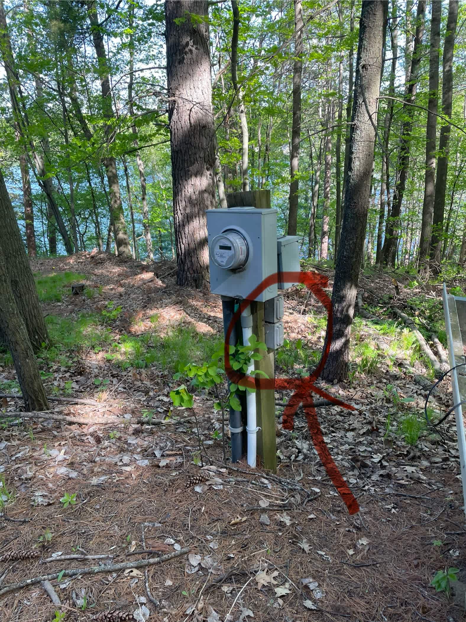 Picture of the site