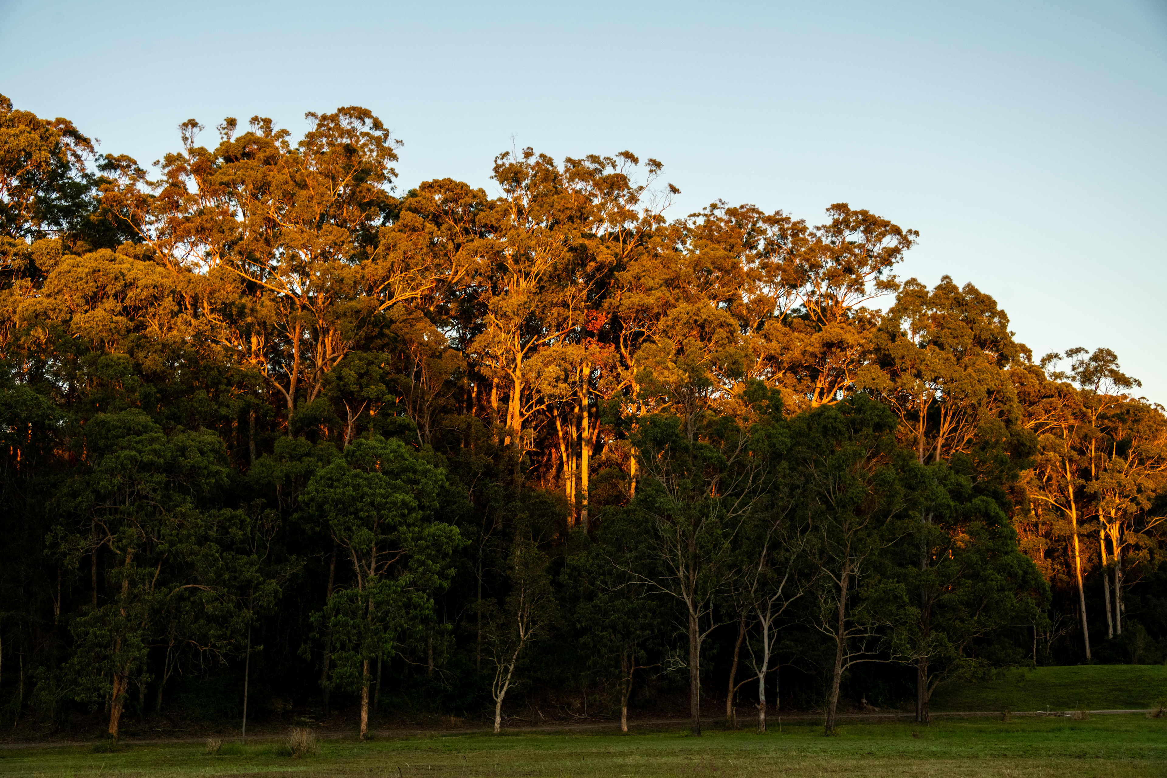 First light at the campsite
