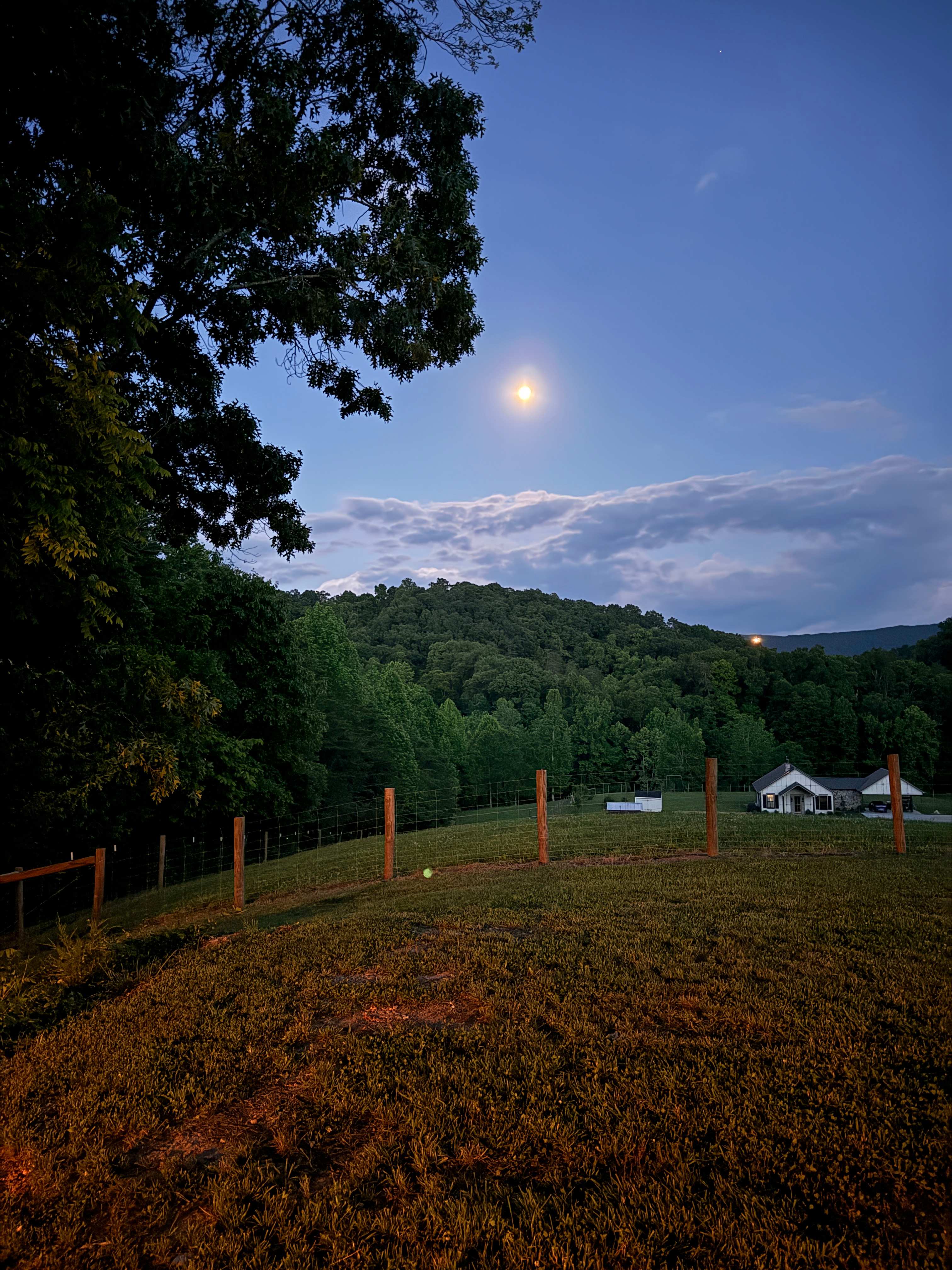 View from back of camper 