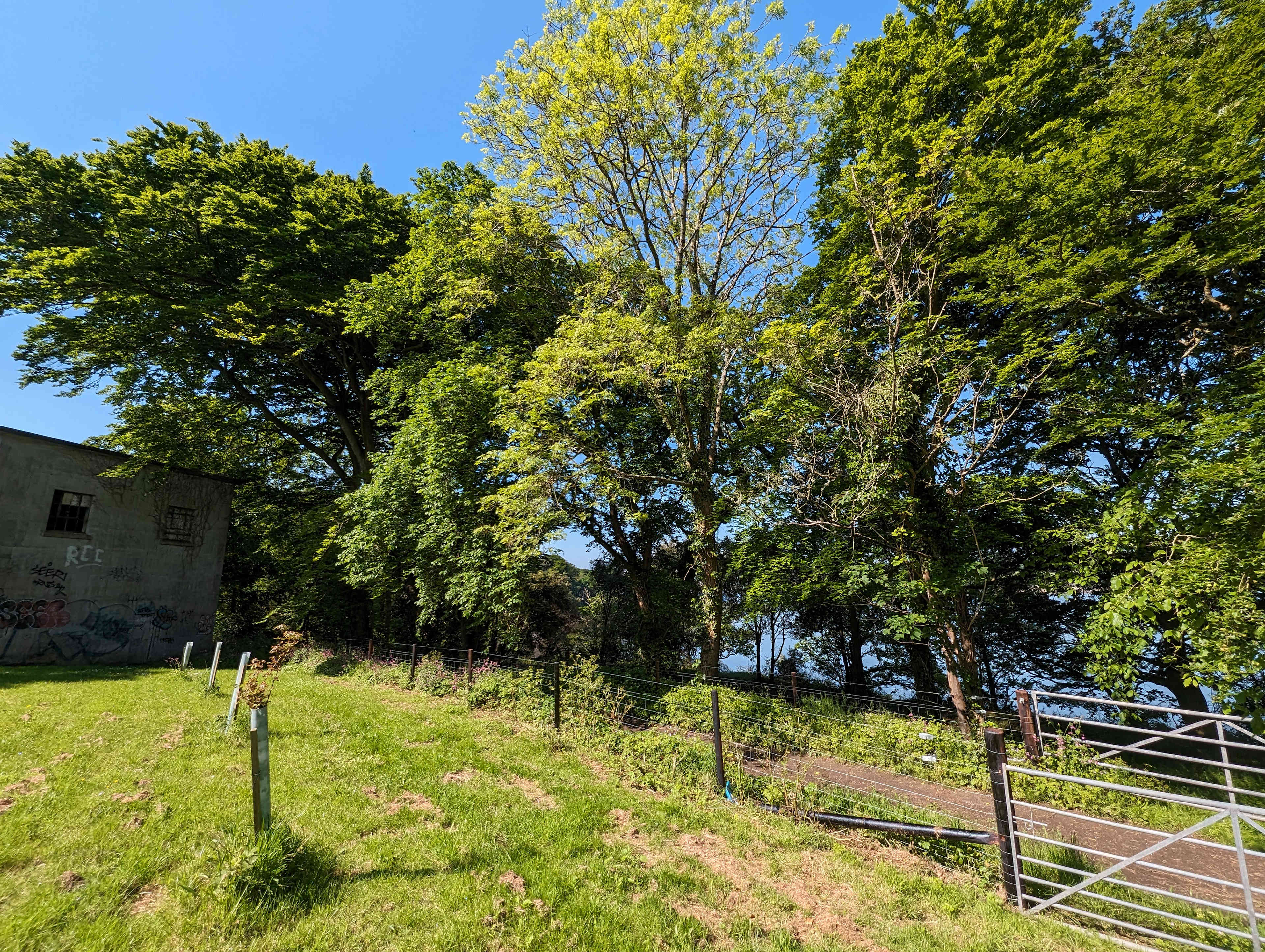 Picture of the site