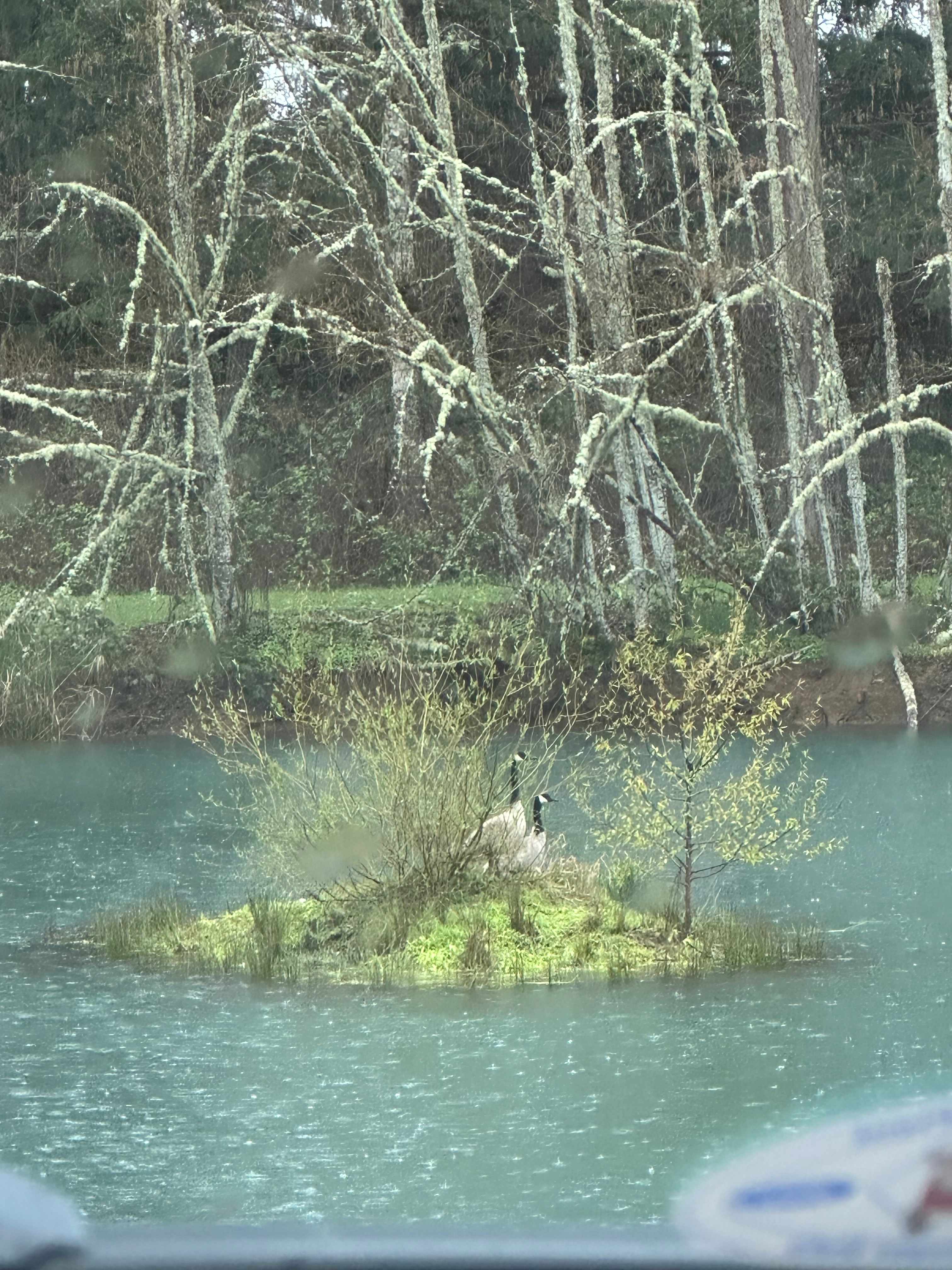 Gordon’s Pond