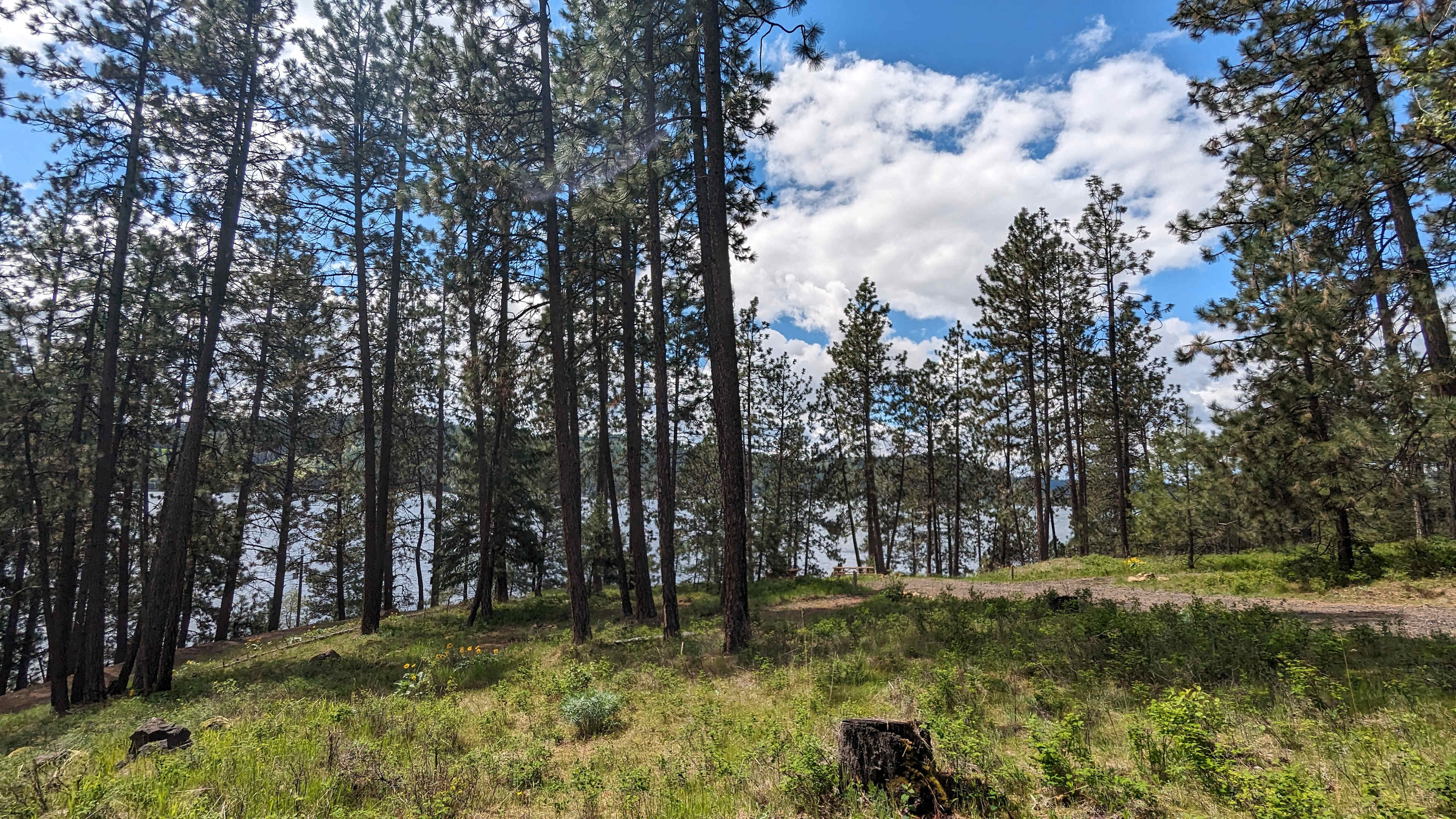 Harrison Bluffs Campground