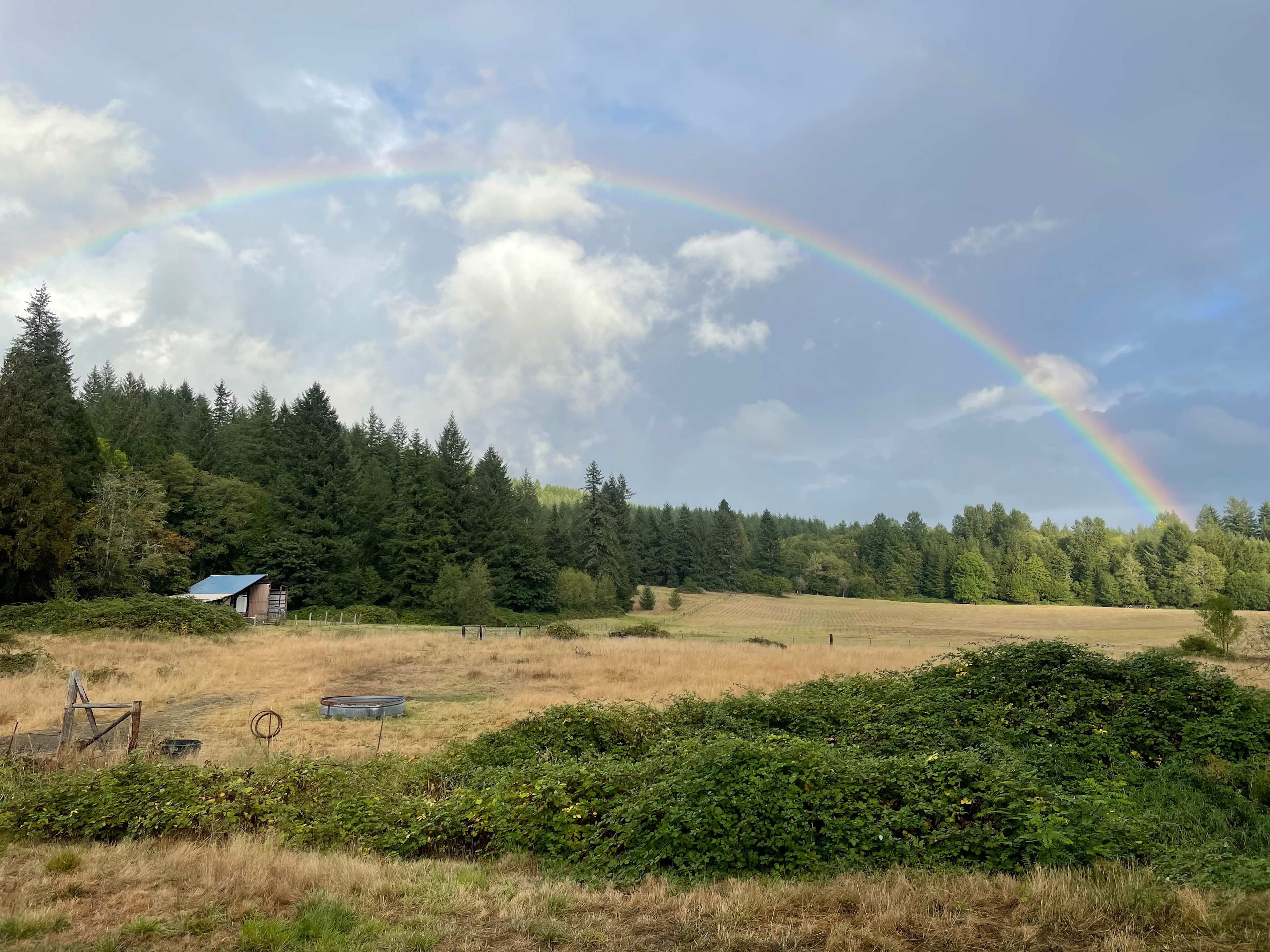 We get an unusual number of rainbows and bouts of fog here because of the high level of water vapor in the air.