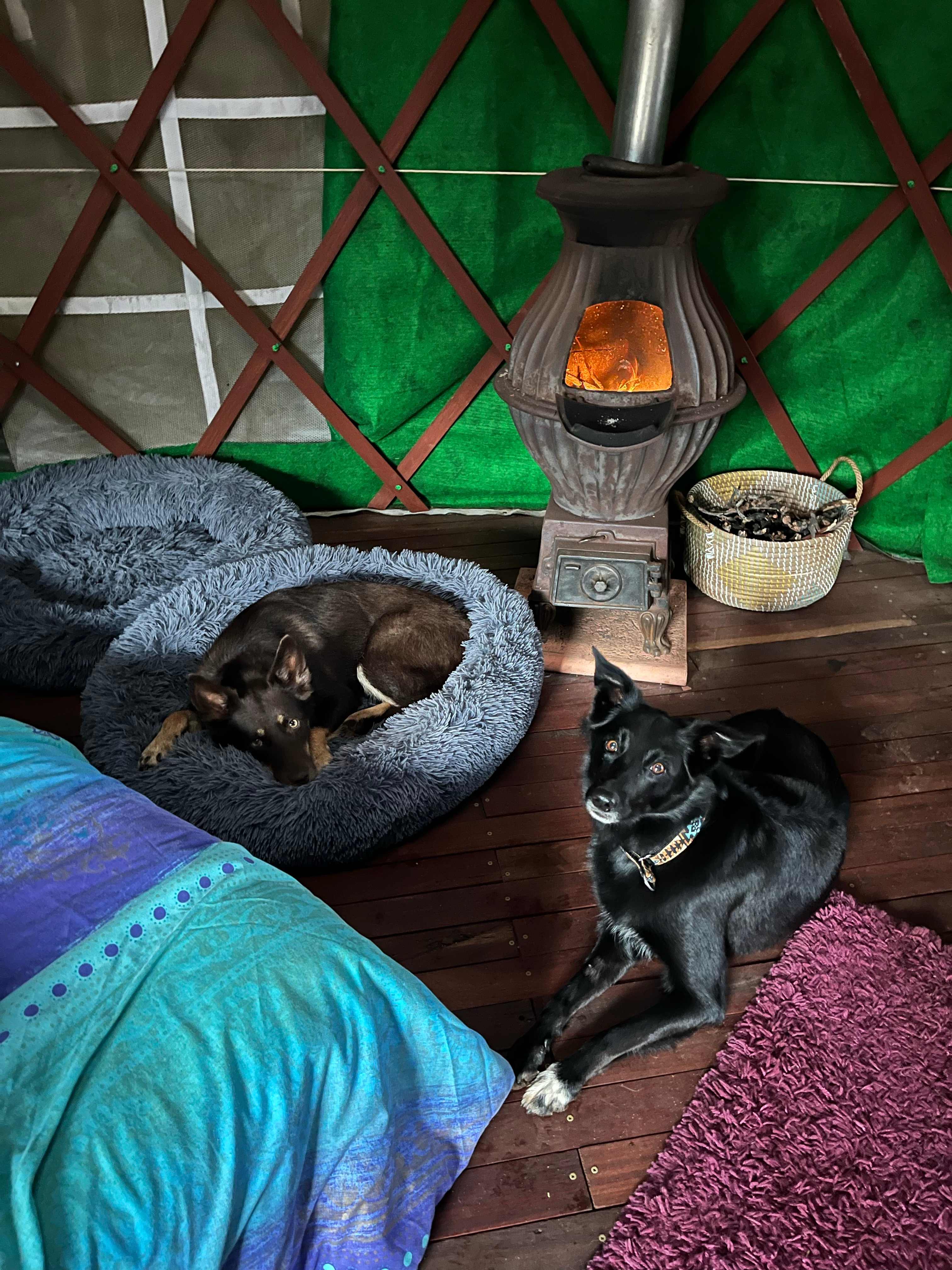 Yurt Abundance in Perth Hills
