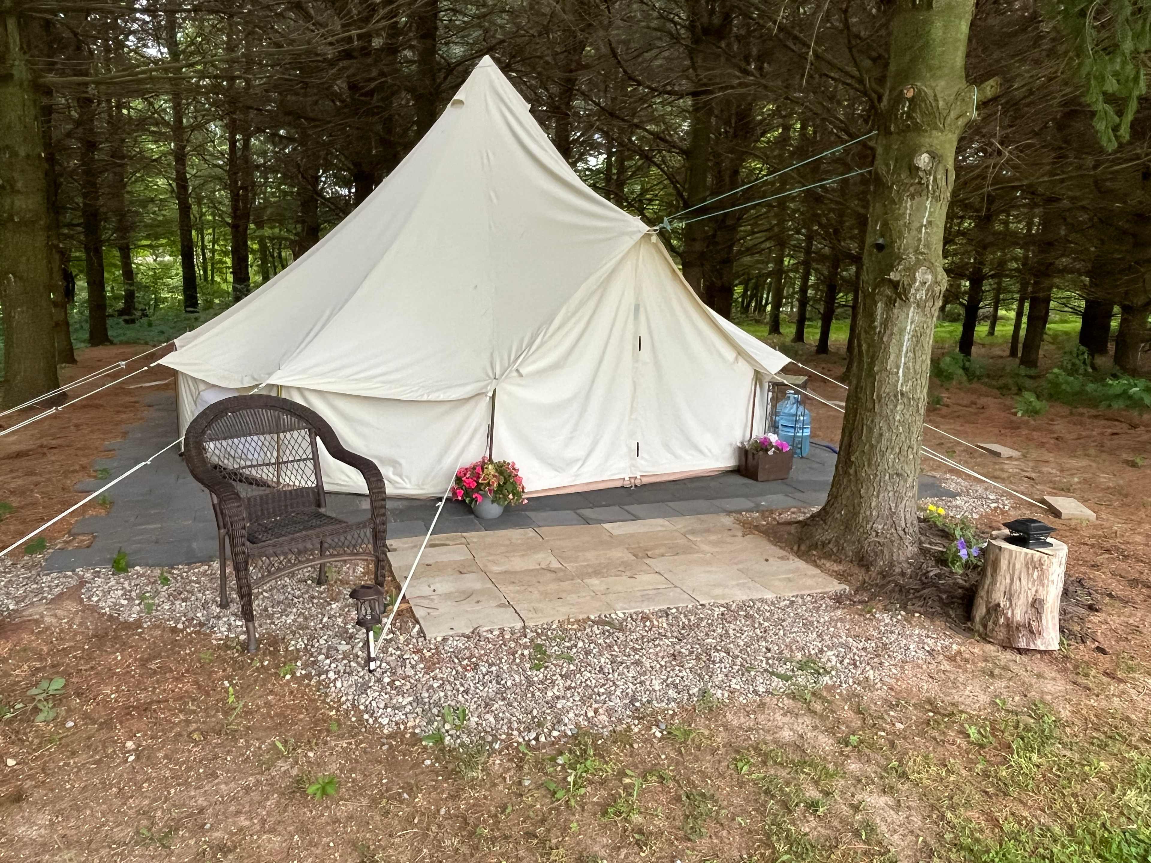 16’ Yurt Bell tent w carpet. Sleeps 5.