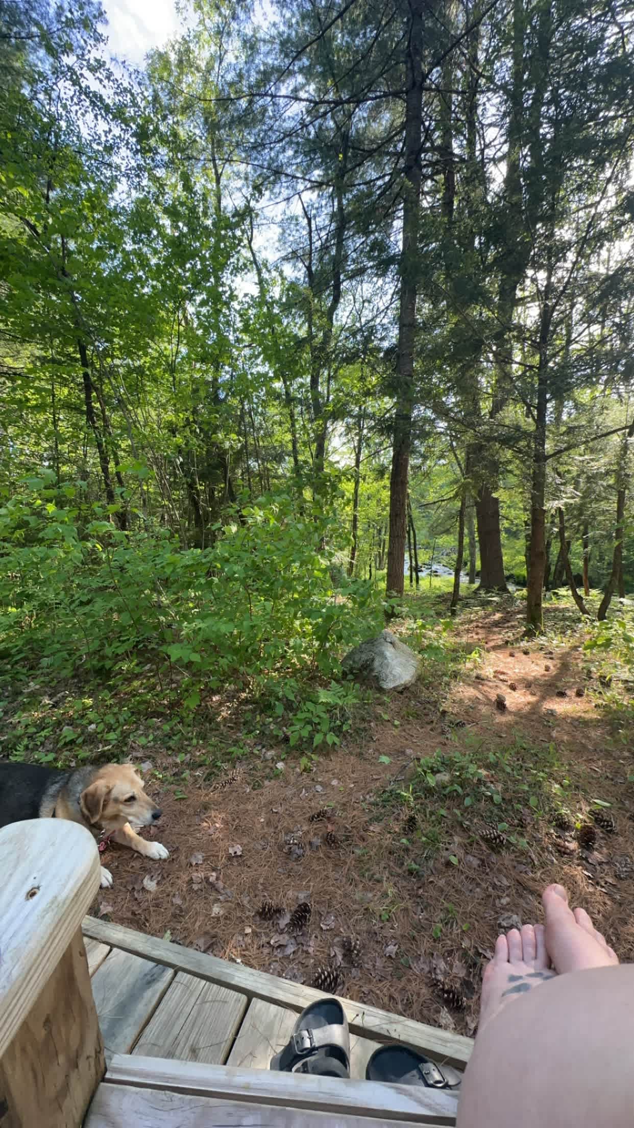 Crooked Run Adirondack