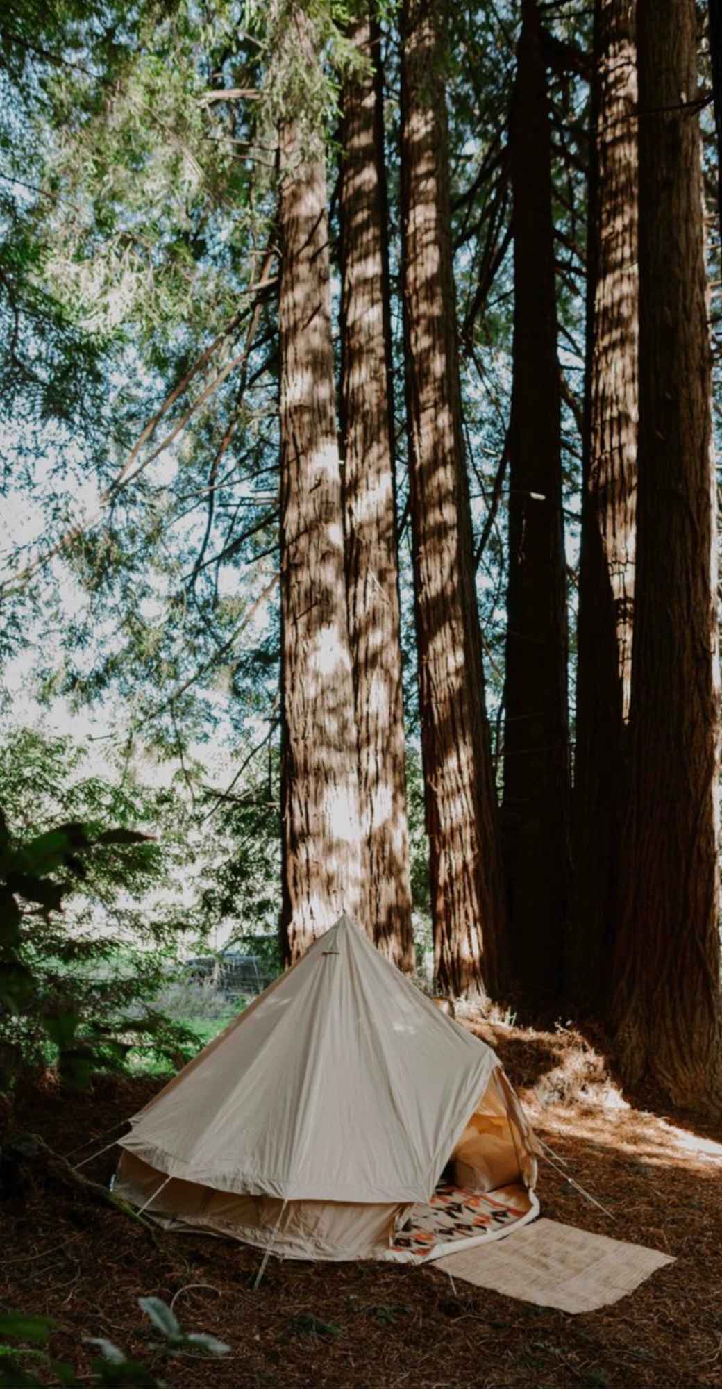 Paradise Glamping