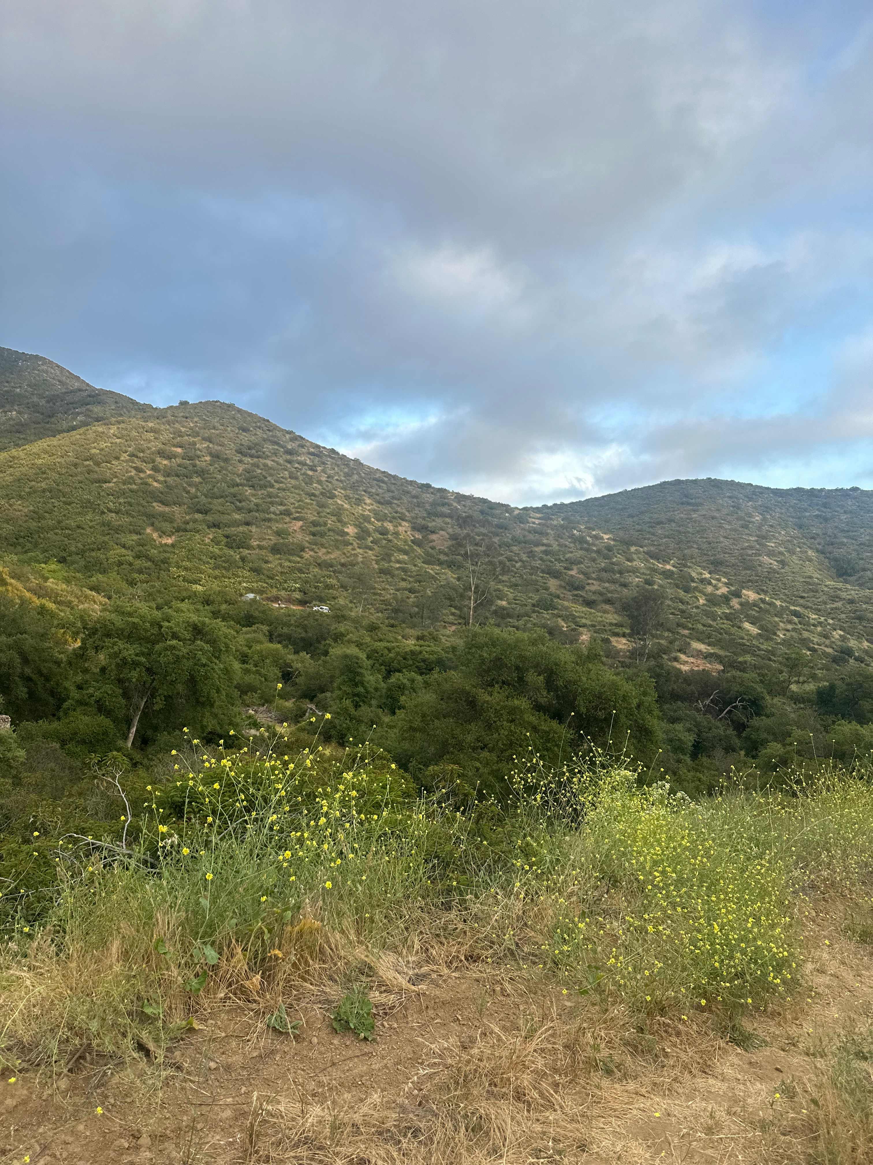 Dutchman Canyon