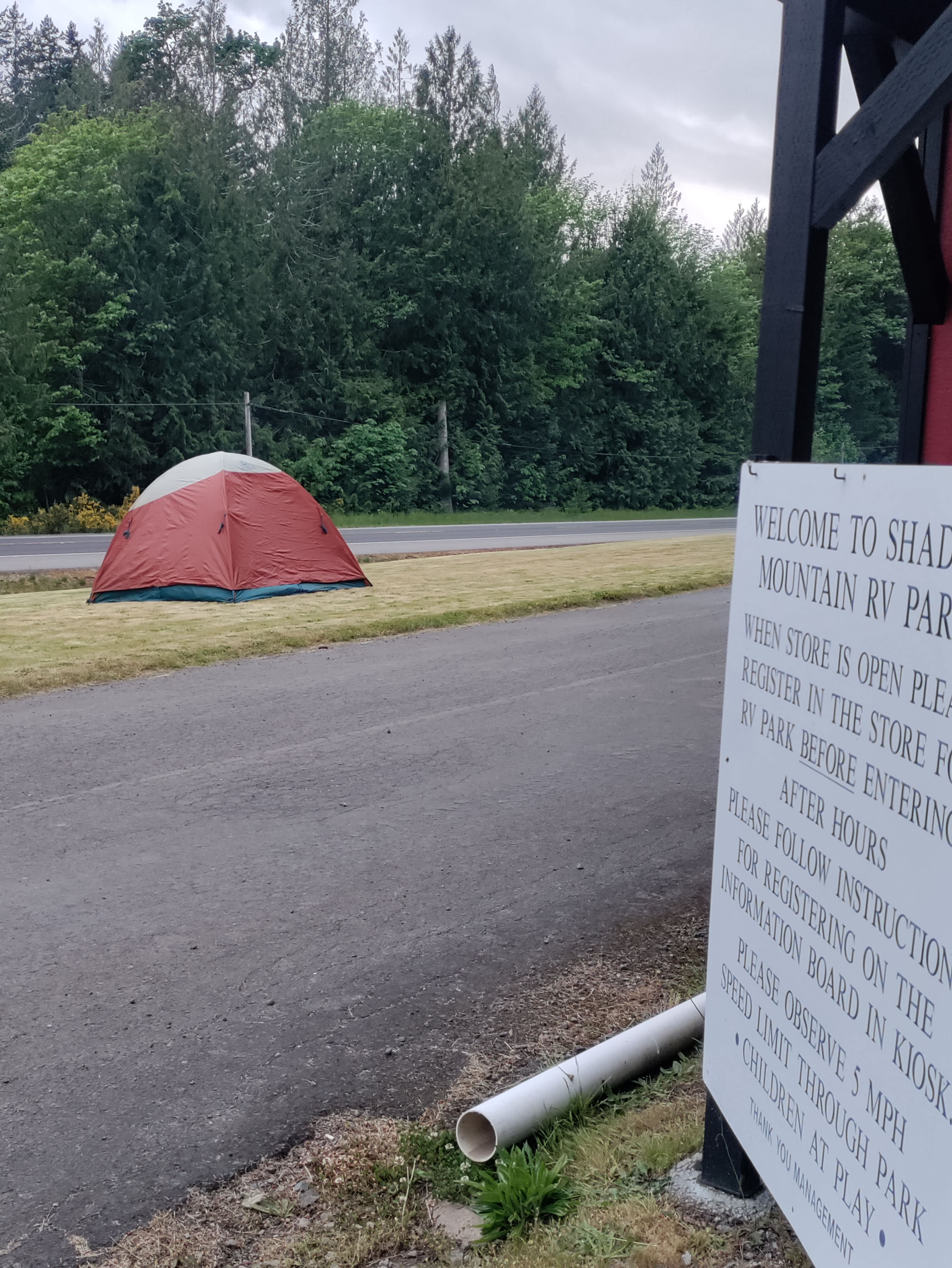 Picture of the site
