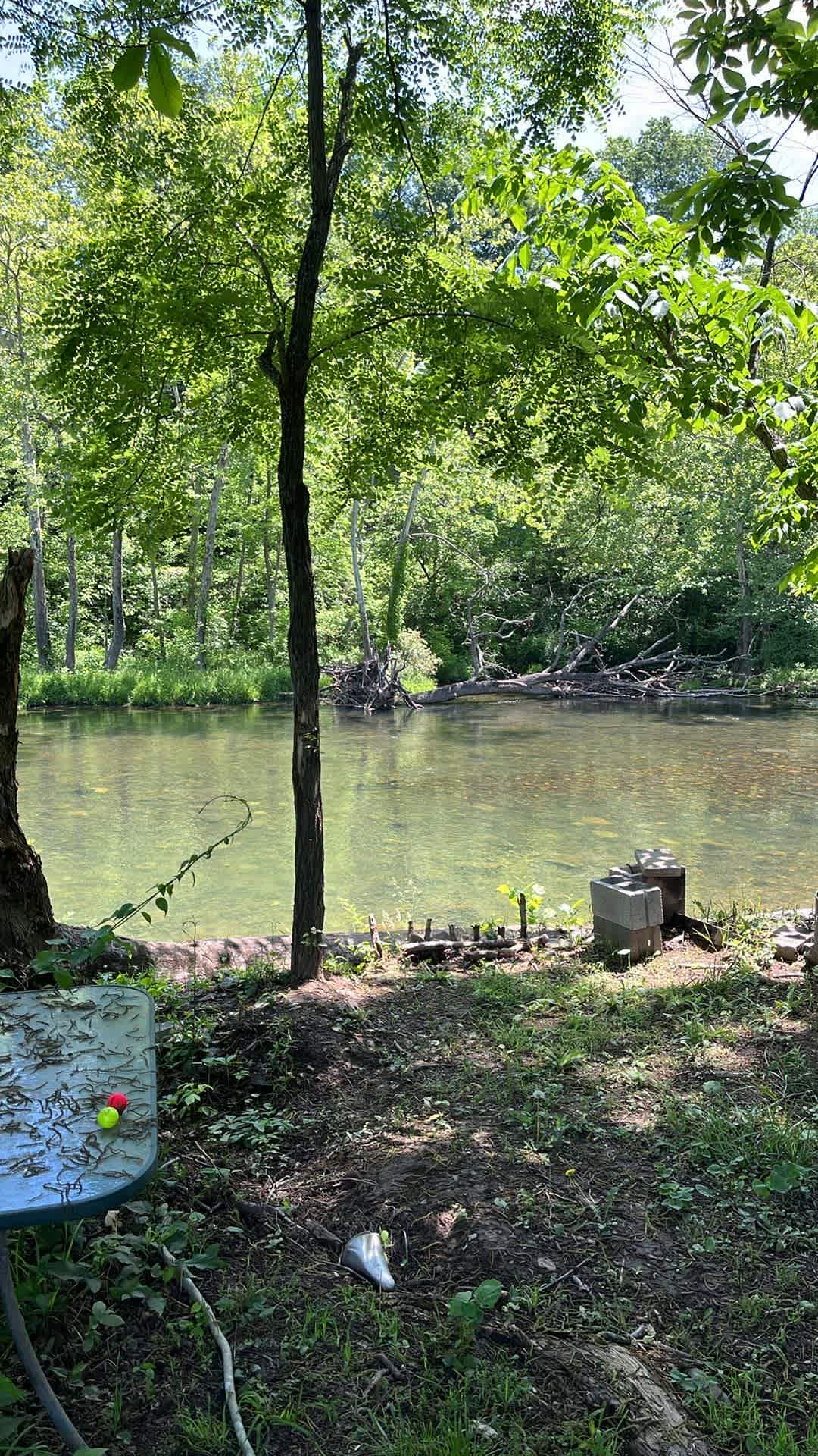 Shirley's River Retreat