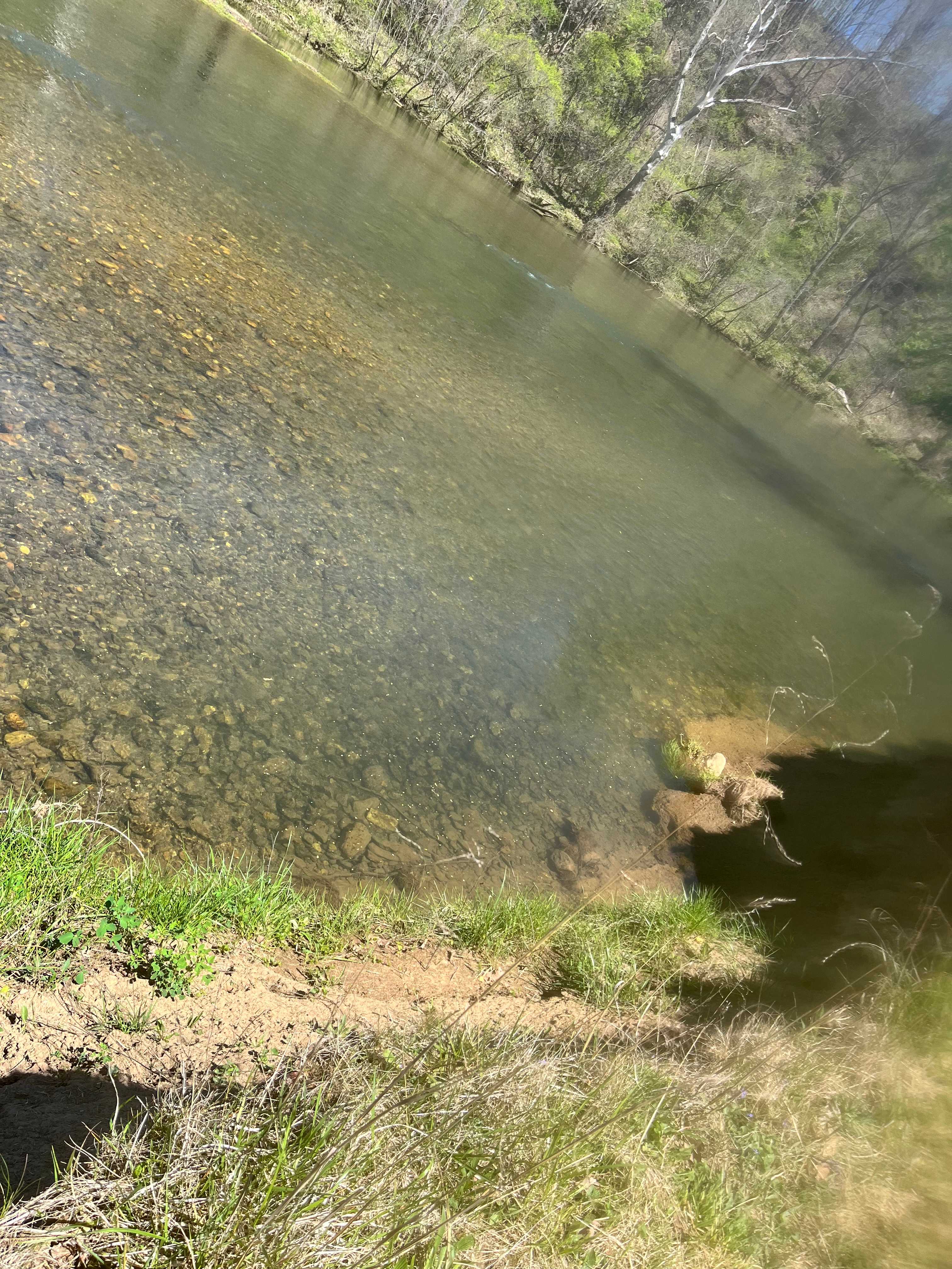 Shirley's River Retreat