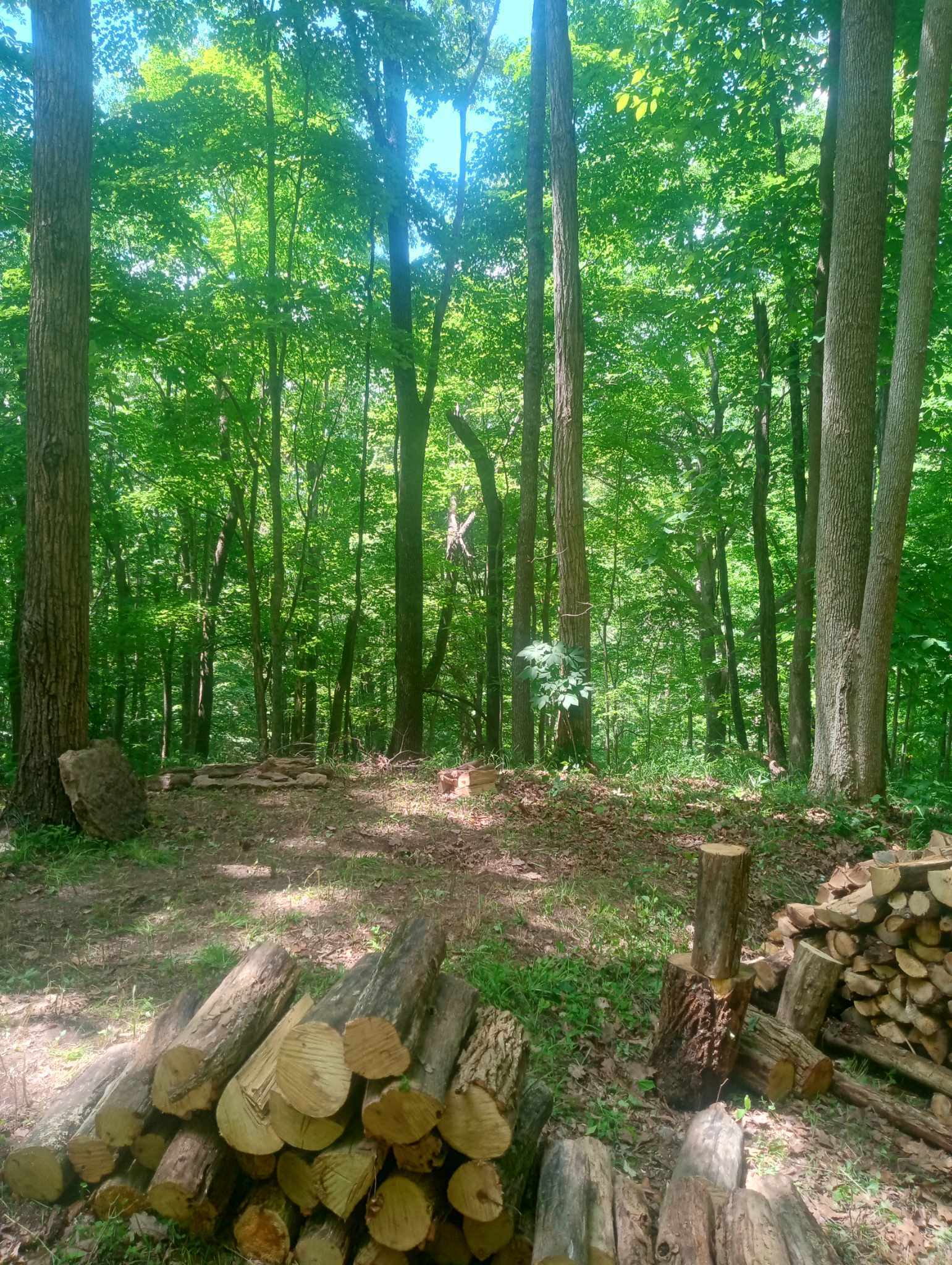 Serenity Above Bluestone
