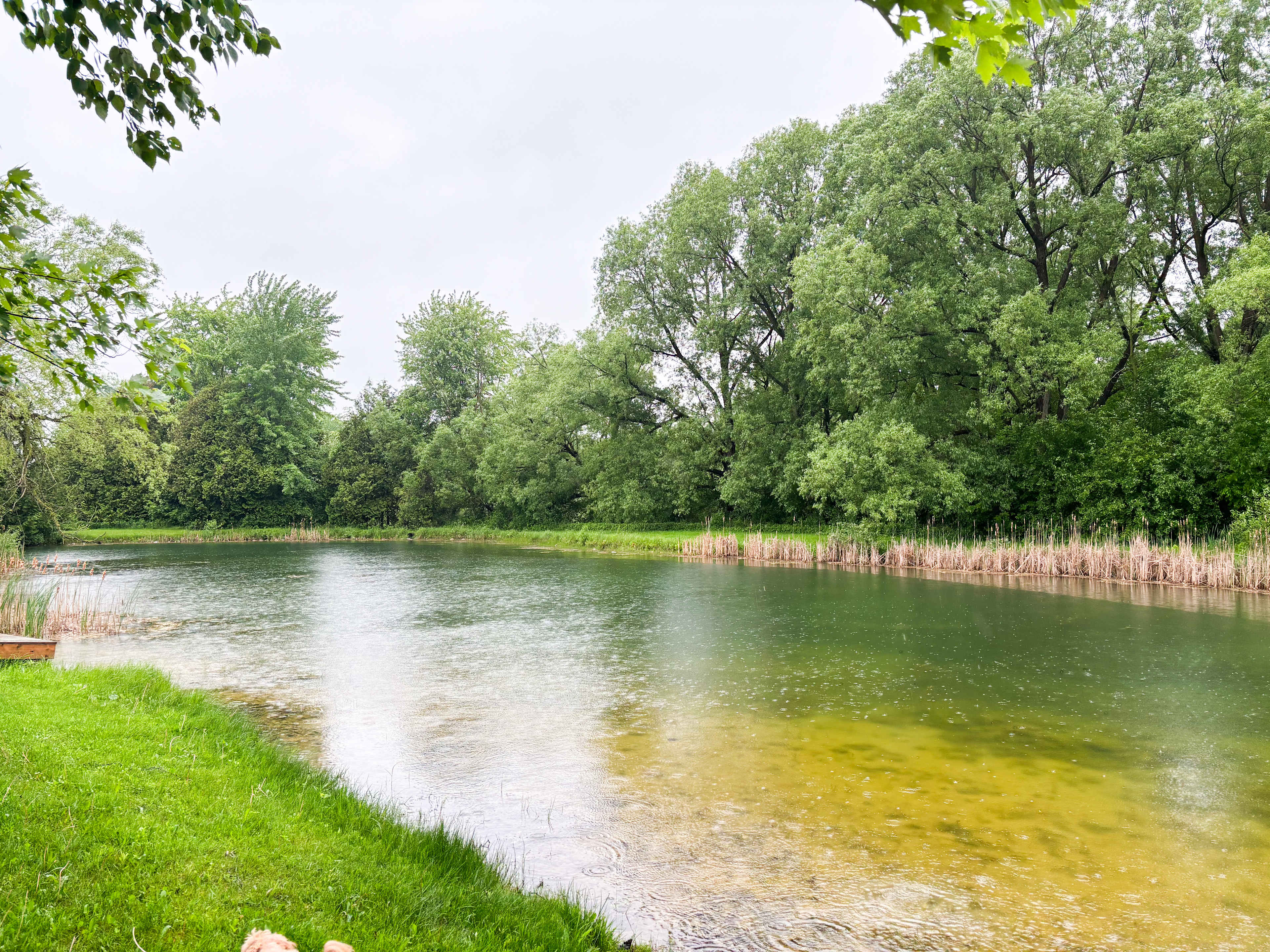 Take a short stroll down to the pond. Hear the bullfrogs, catch a glimpse of the sunfish or bass, and maybe a blue heron or our resident great horned owl.