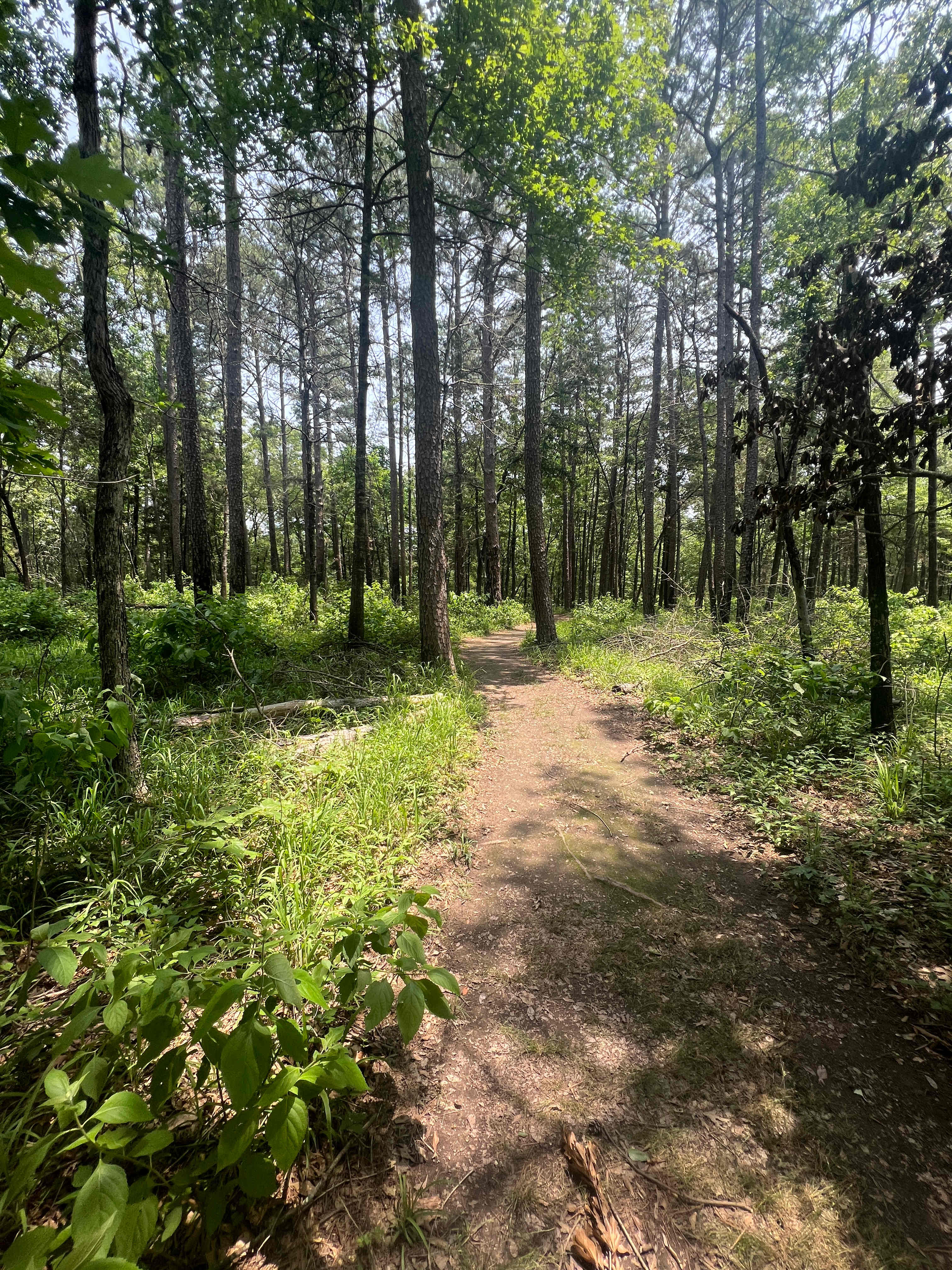 Nearby hiking 