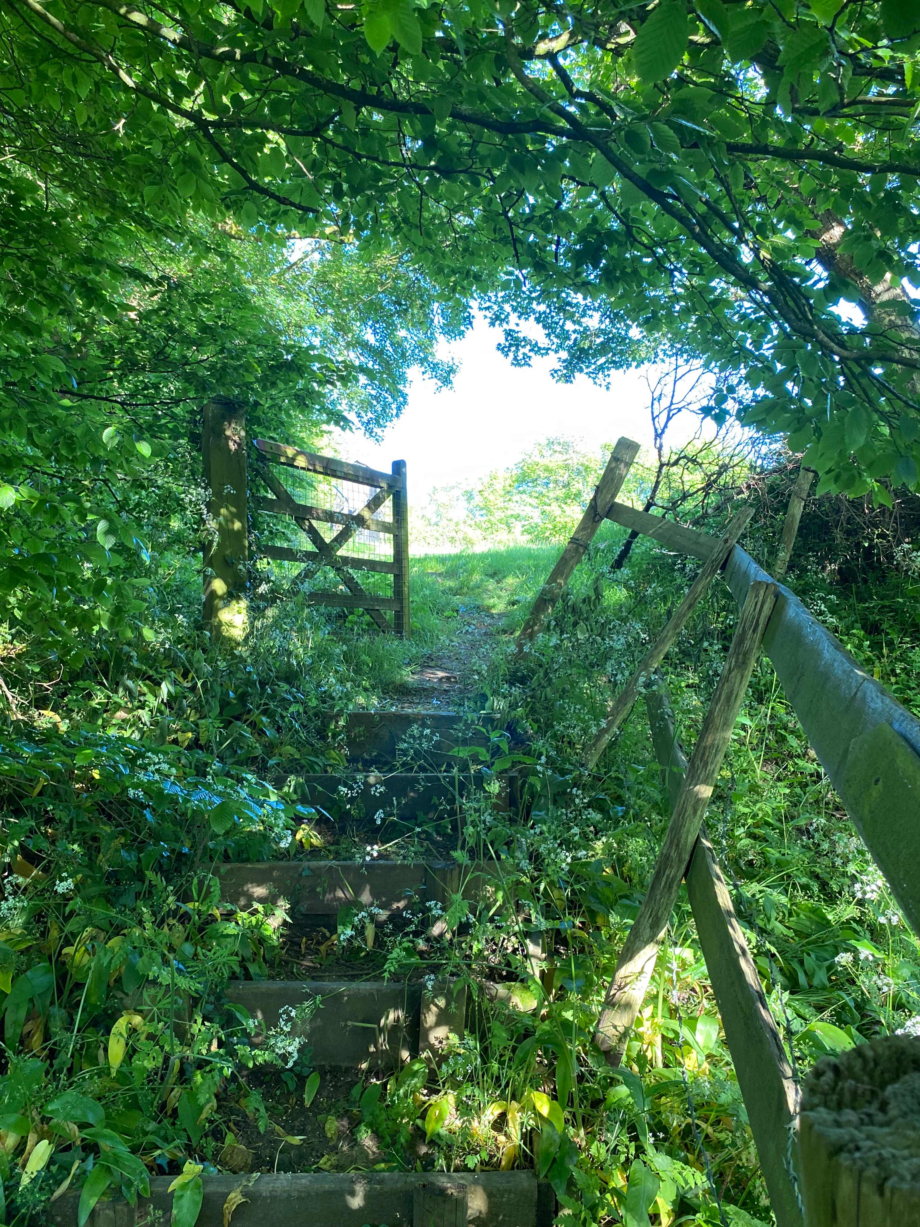 The Sunnyfield Campsite
