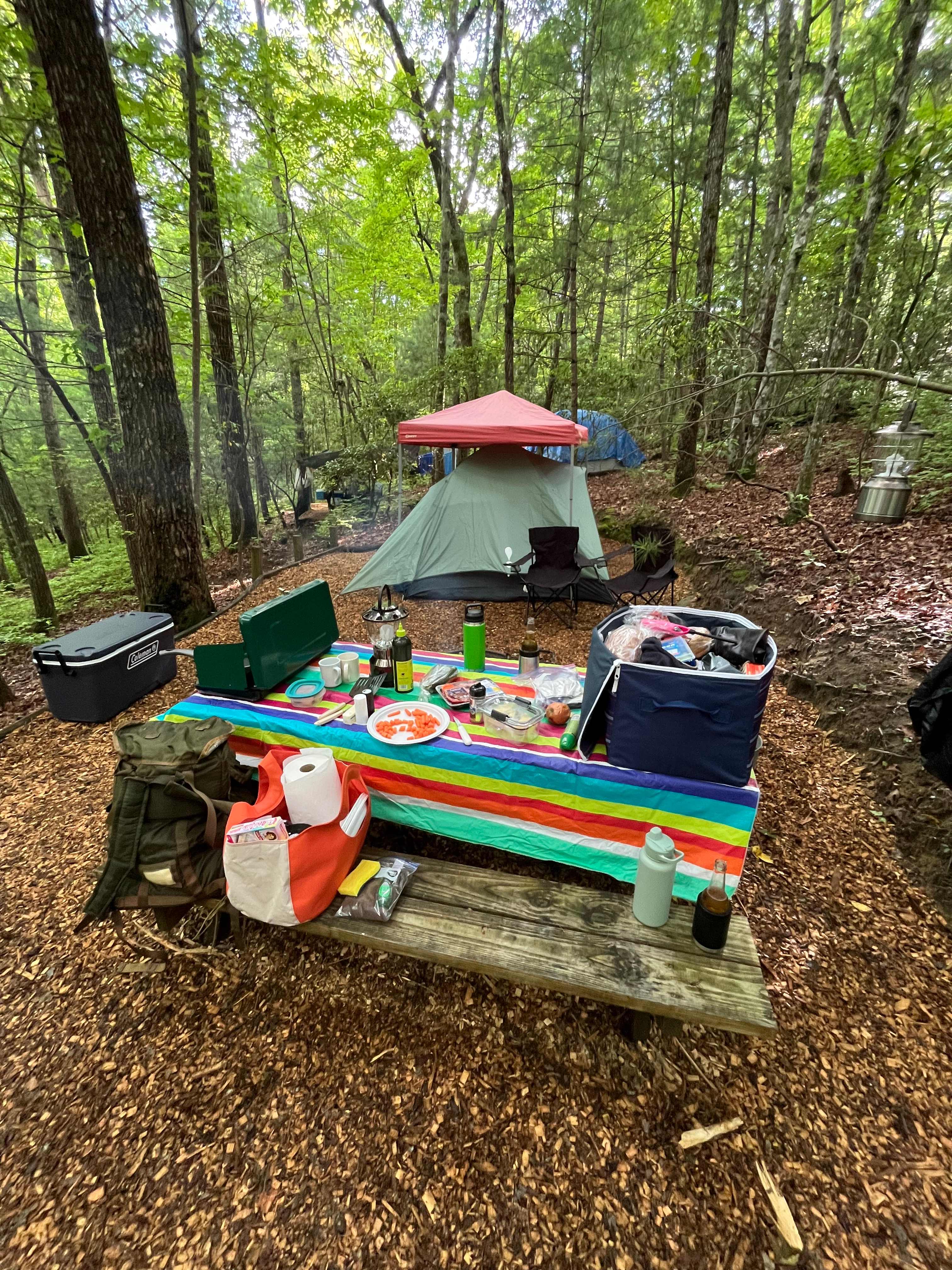 Picture of the site