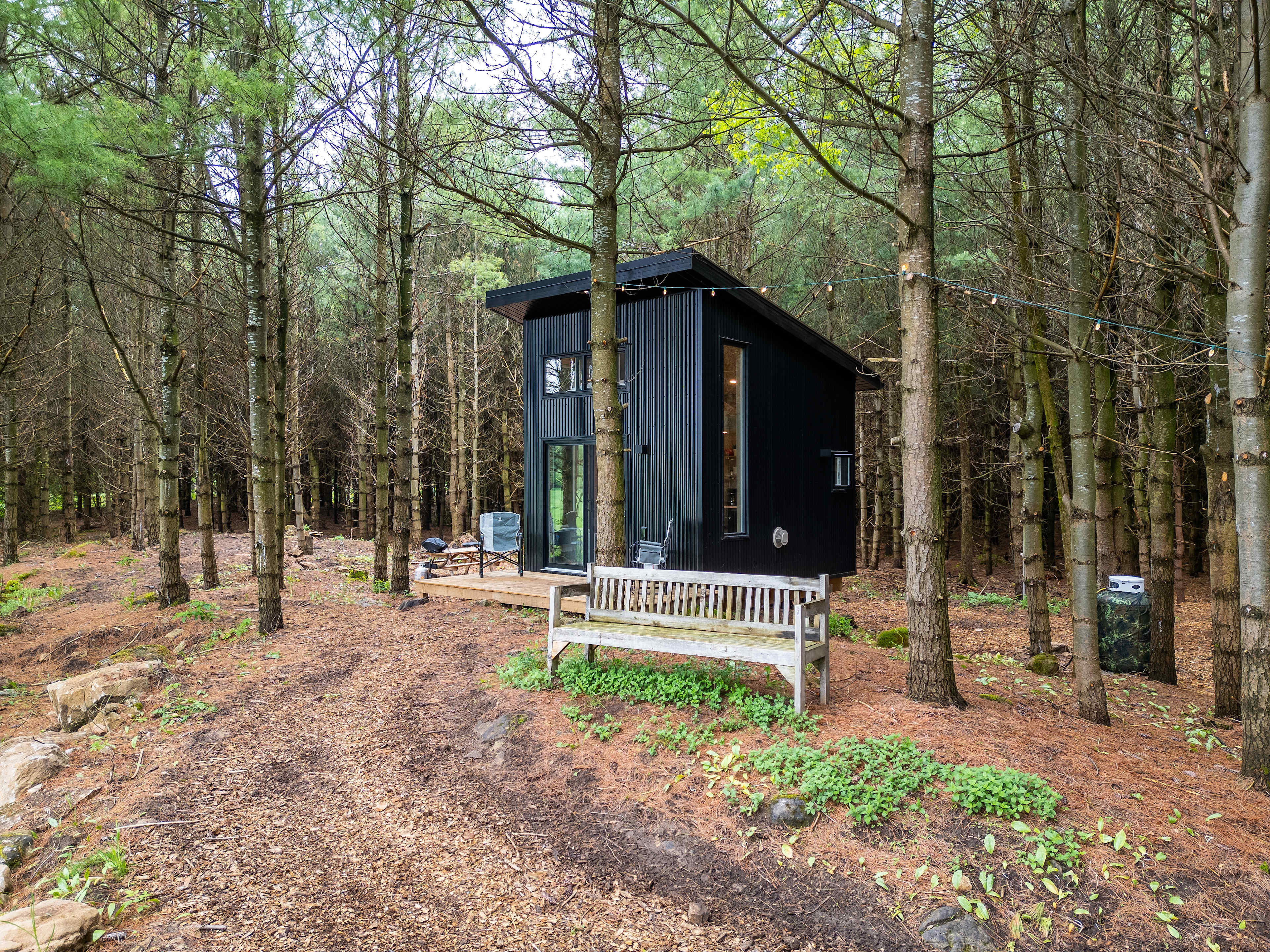 Little Cabin In The Pines