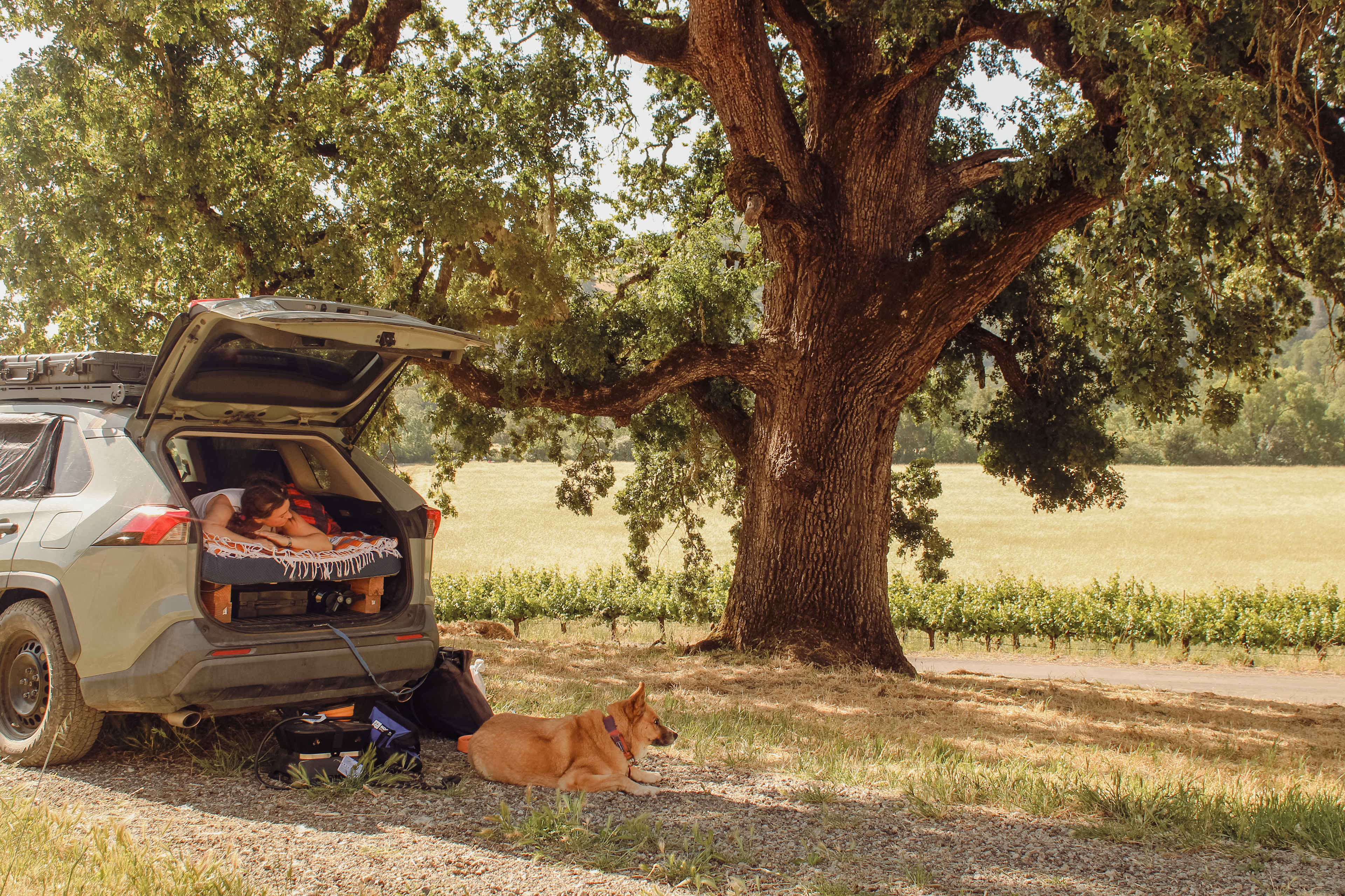 Naptime in the shade with a nice breeze after long drives are pretty stellar