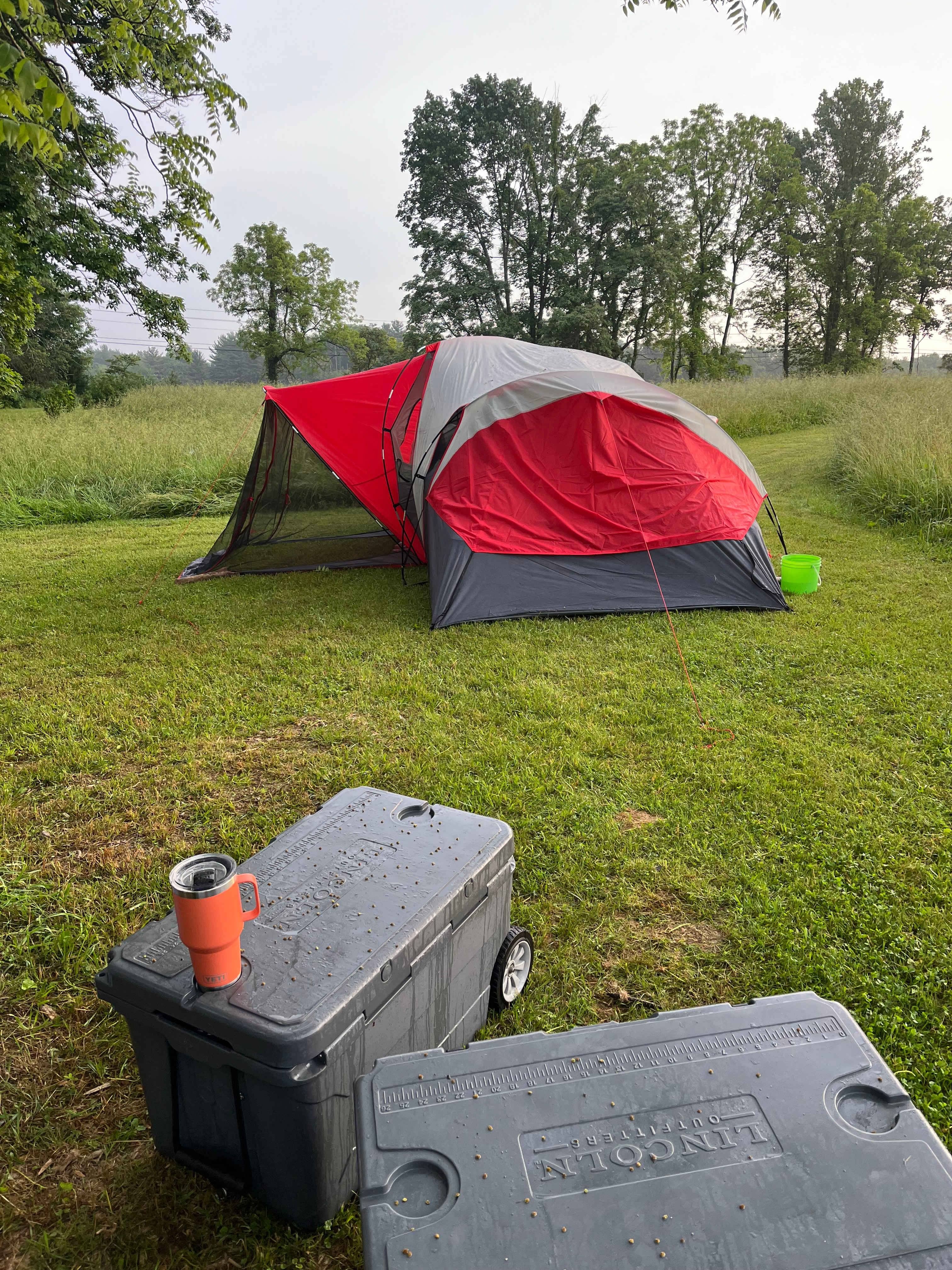 Picture of the site