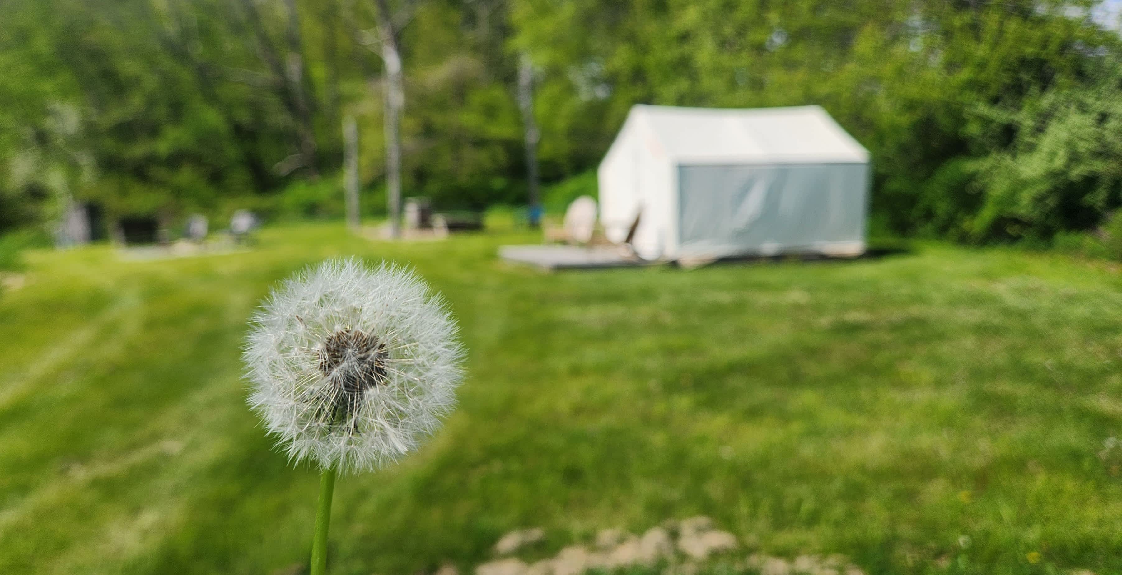 Glamping @ Meadow Ridge Farm