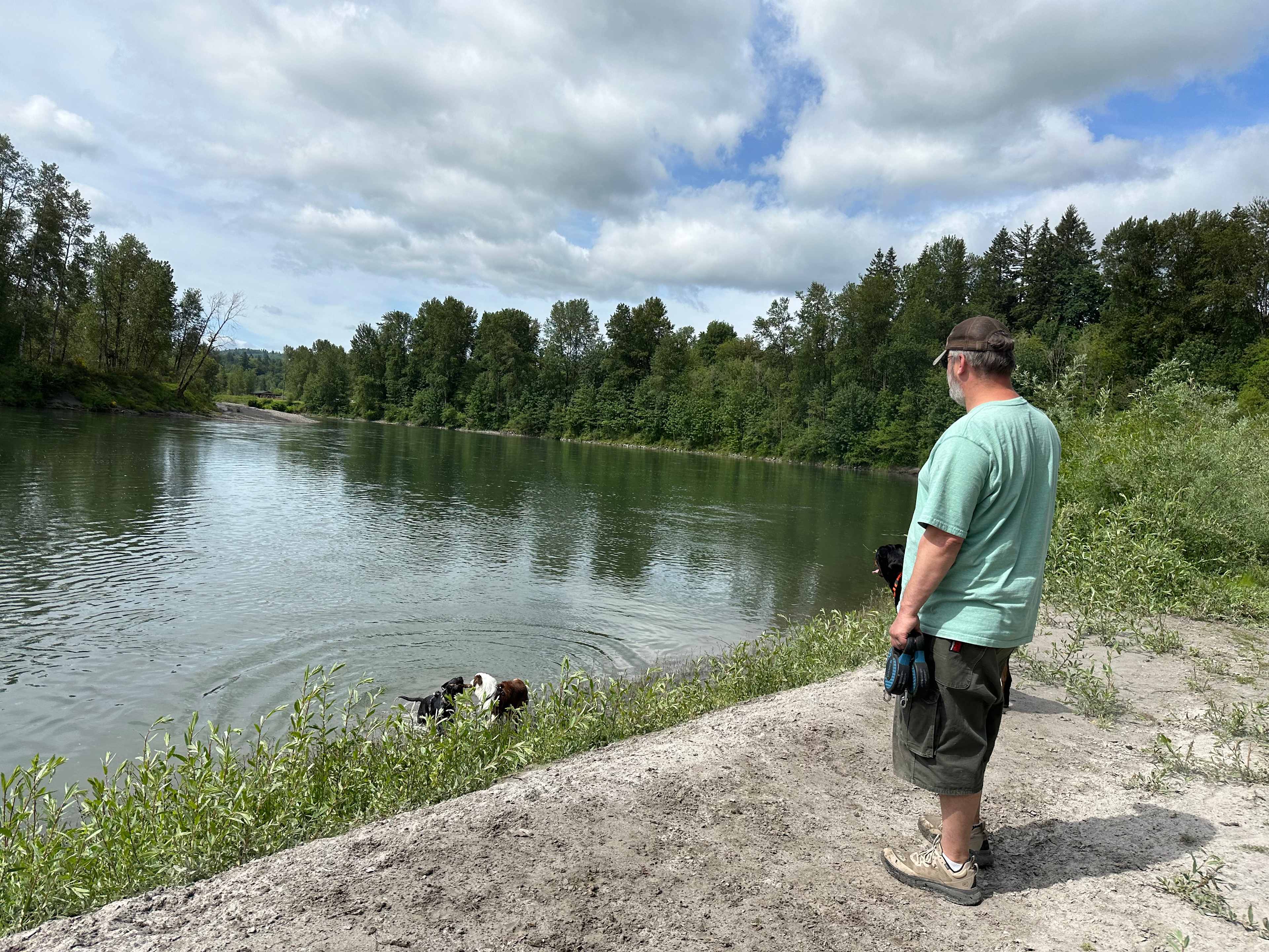 Our dogs loved the swim and couldn’t get enough! A cool spot for a picnic
