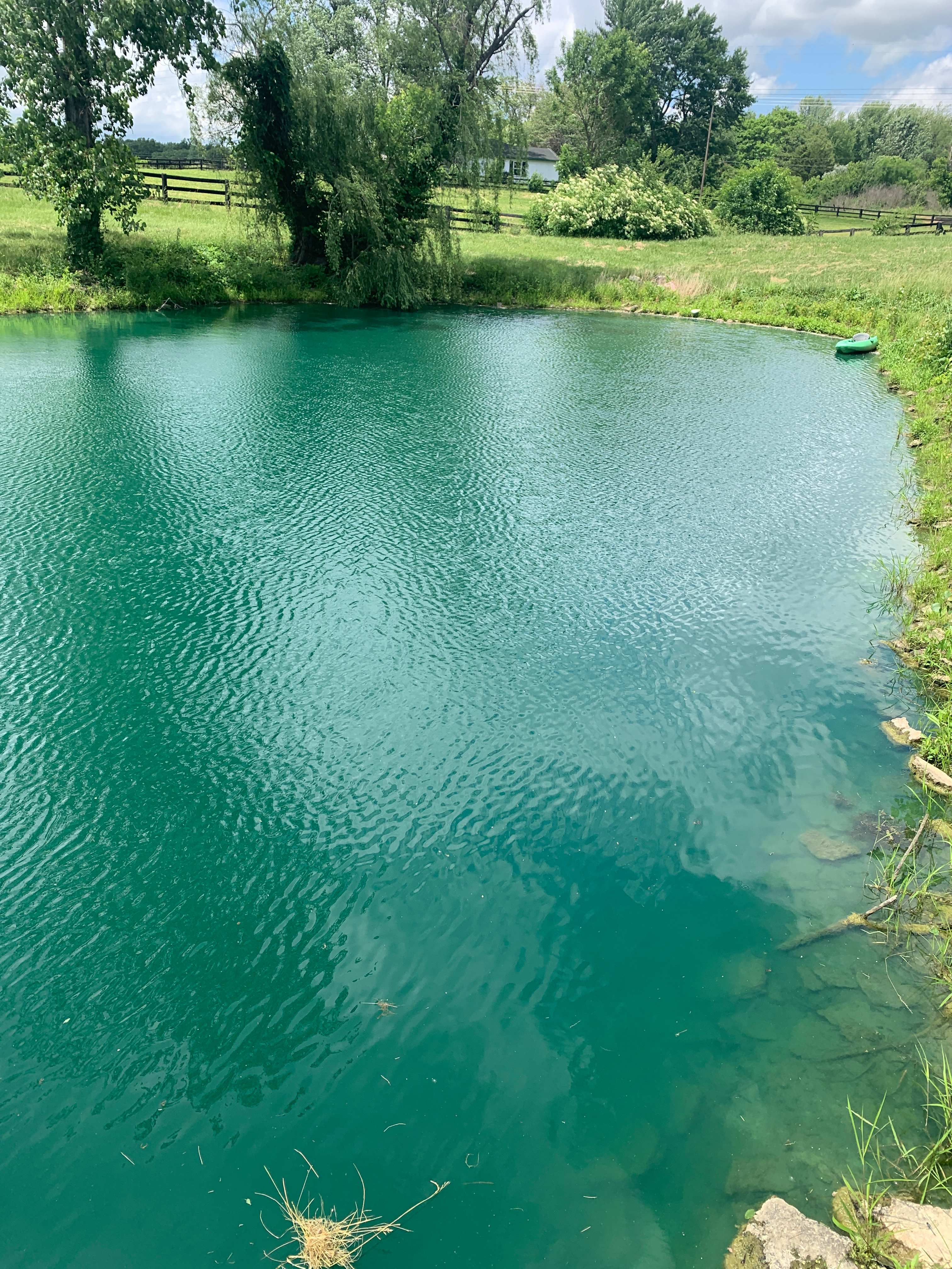 Lake view