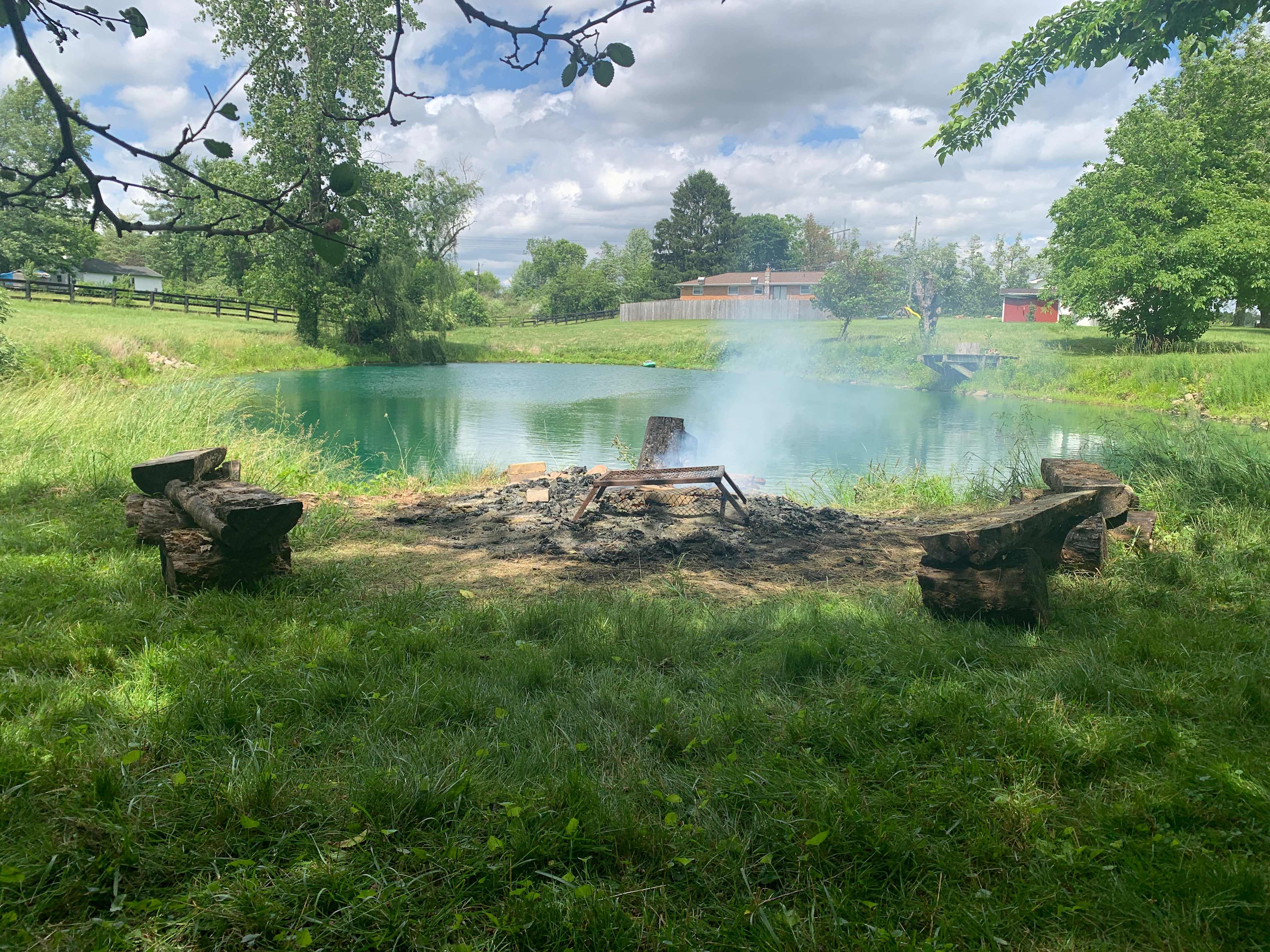 View from Honeysuckle Cove, log benches