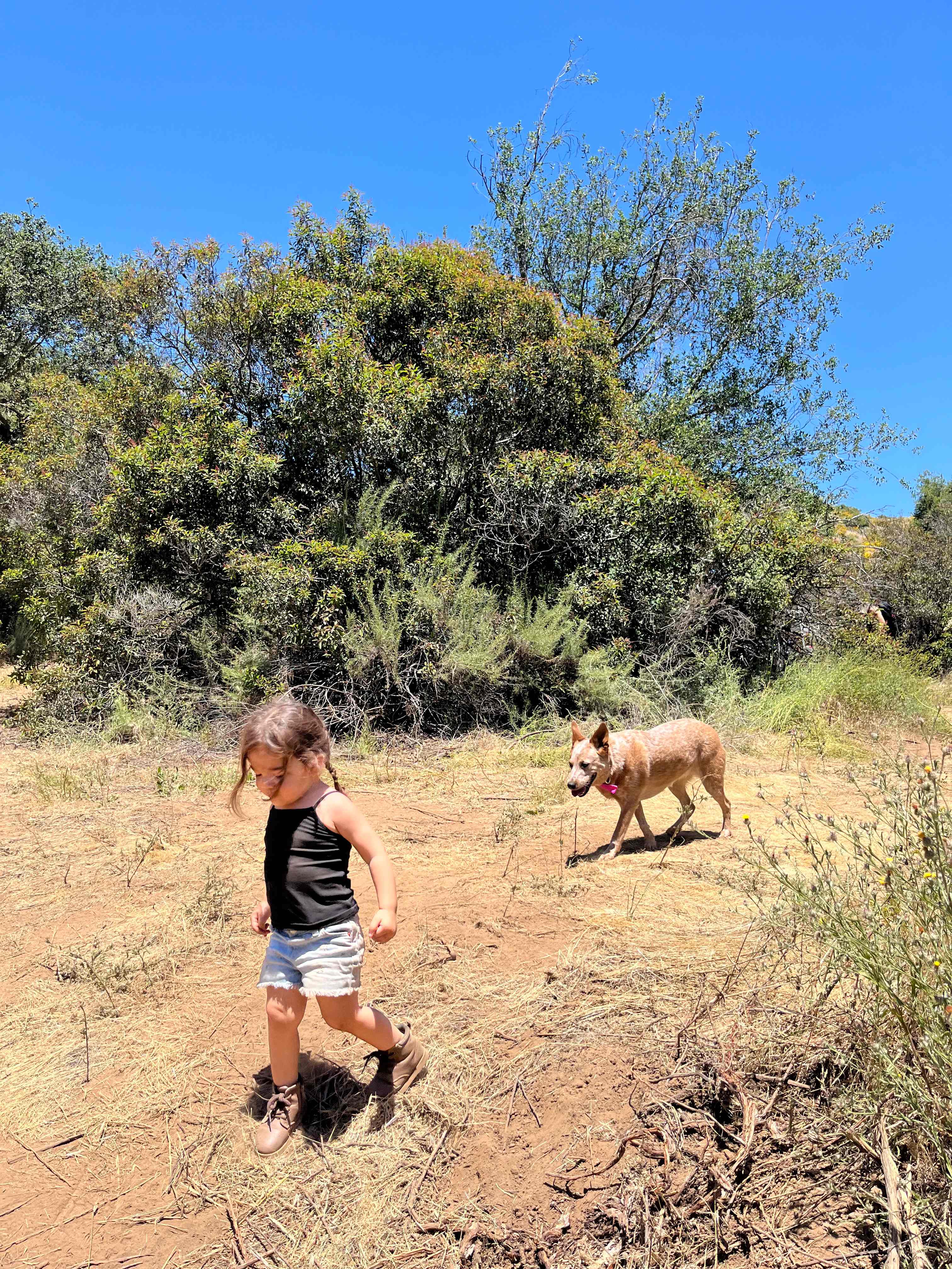Dutchman Canyon