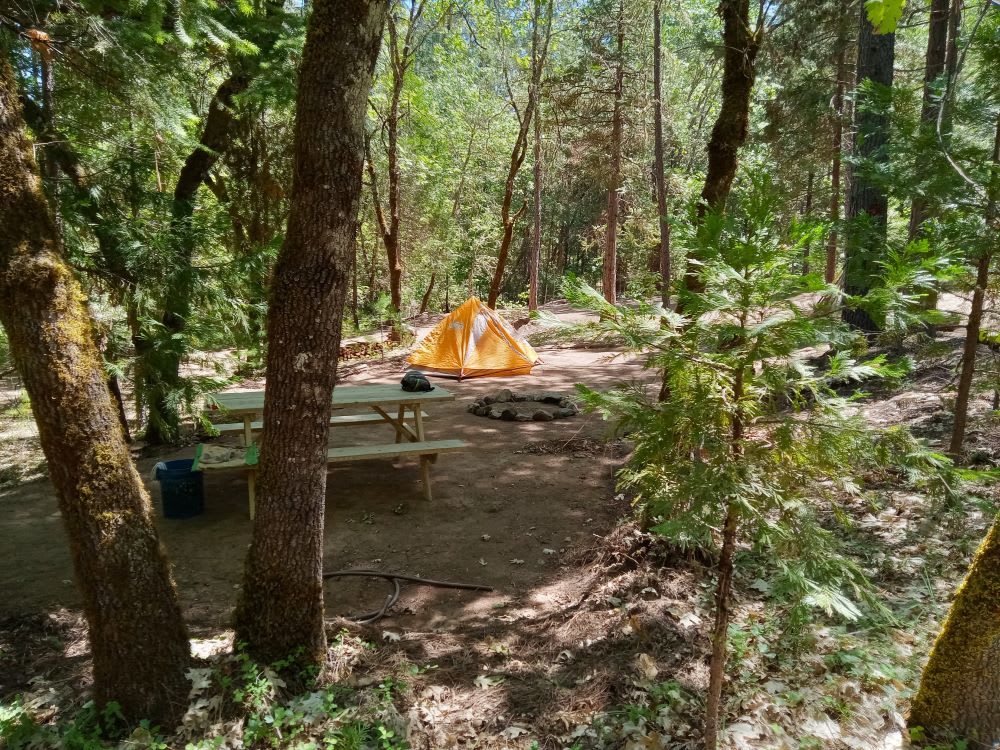 Wild Azalea Eco-Camp