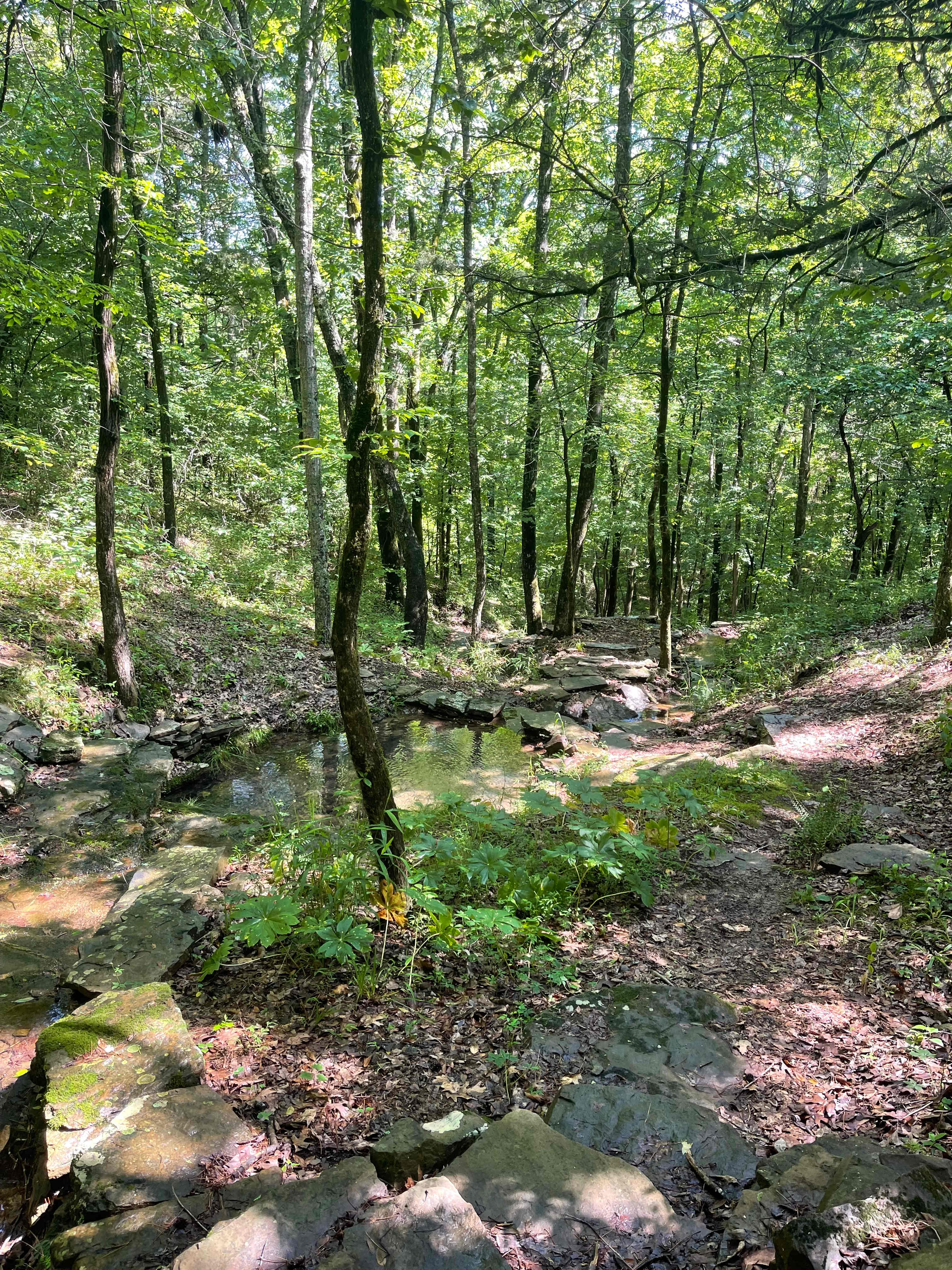 Pinnacle Springs Recreational Park