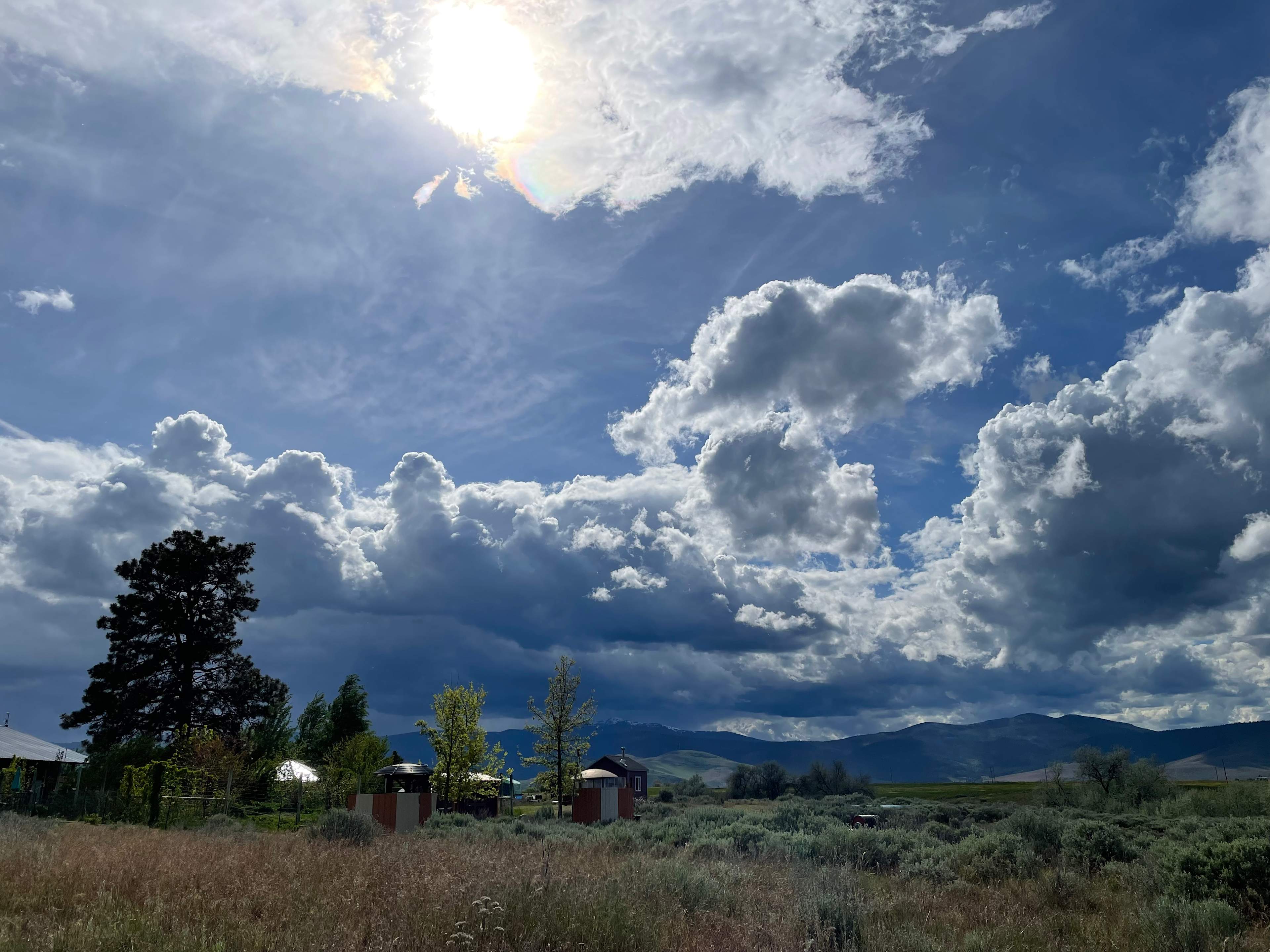 Sage Oasis Garden Retreat