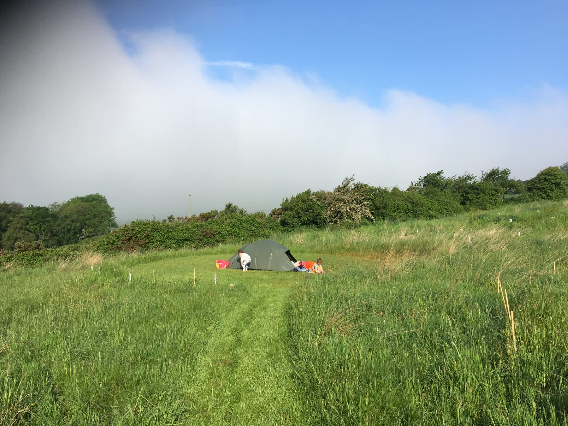 Ffosygrafel Isaf Camping