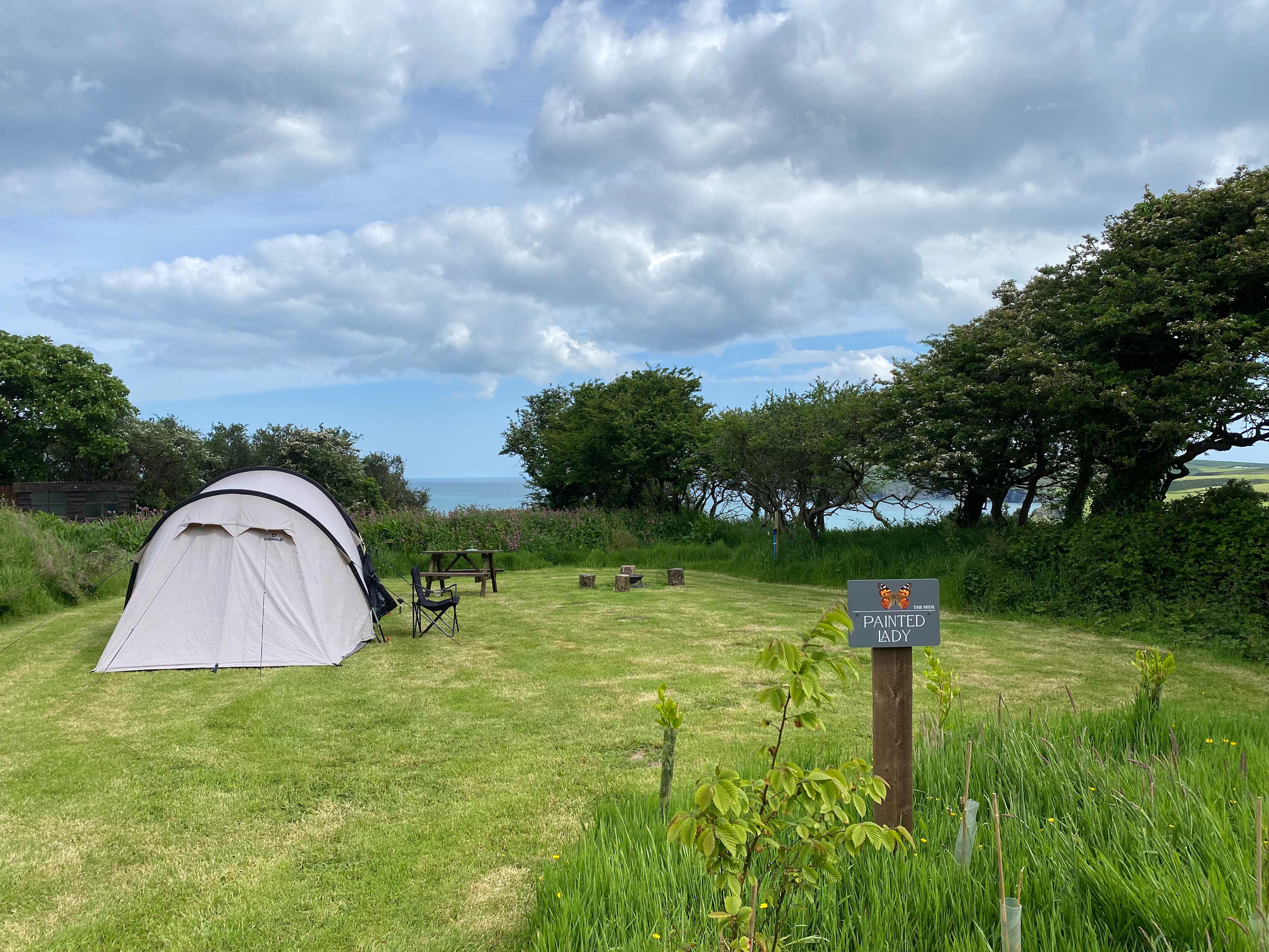 Picture of the site