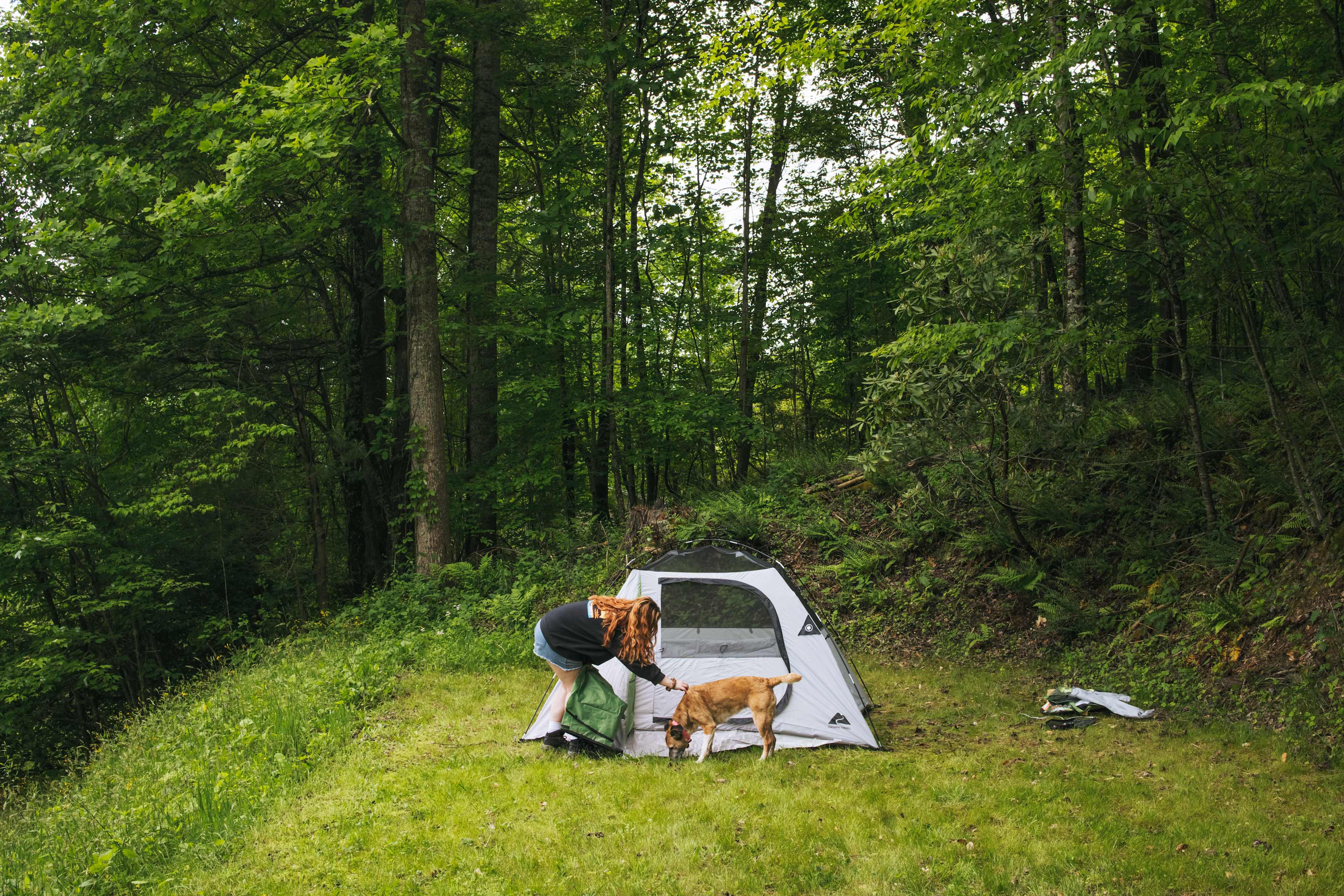 A pup on property paid me a visit while I set up. 