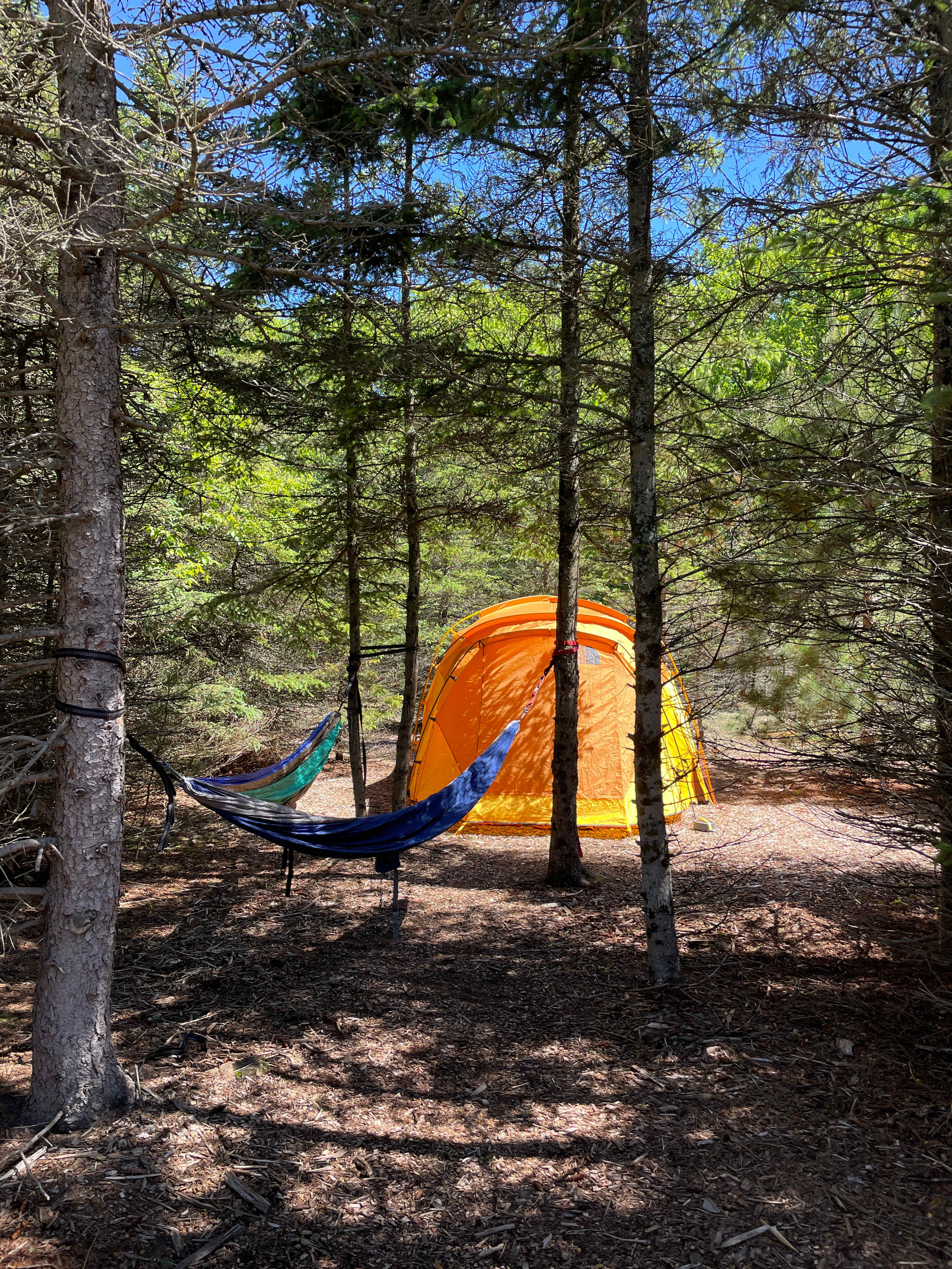 Jackson Station Leelanau