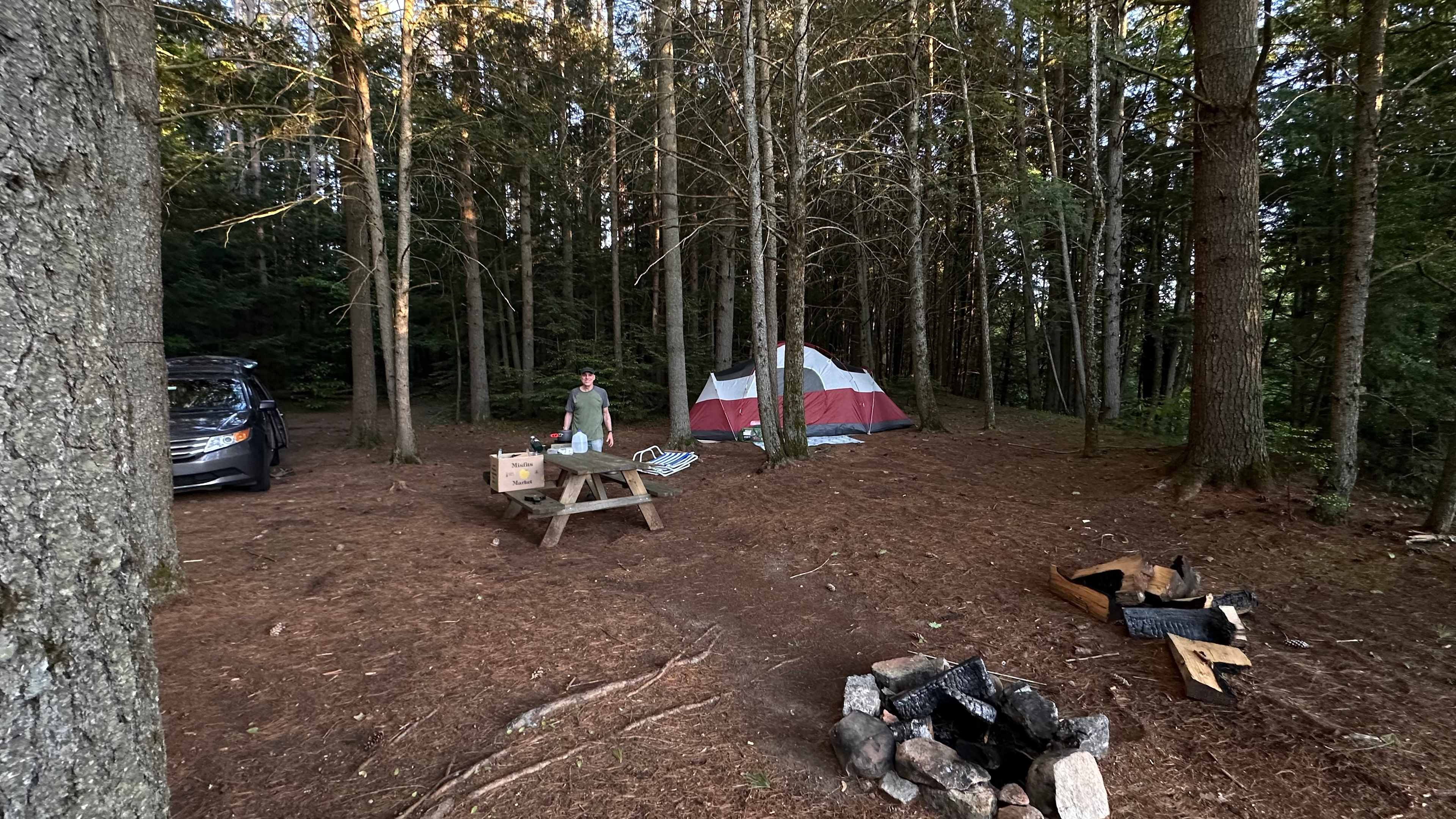 Picture of the site